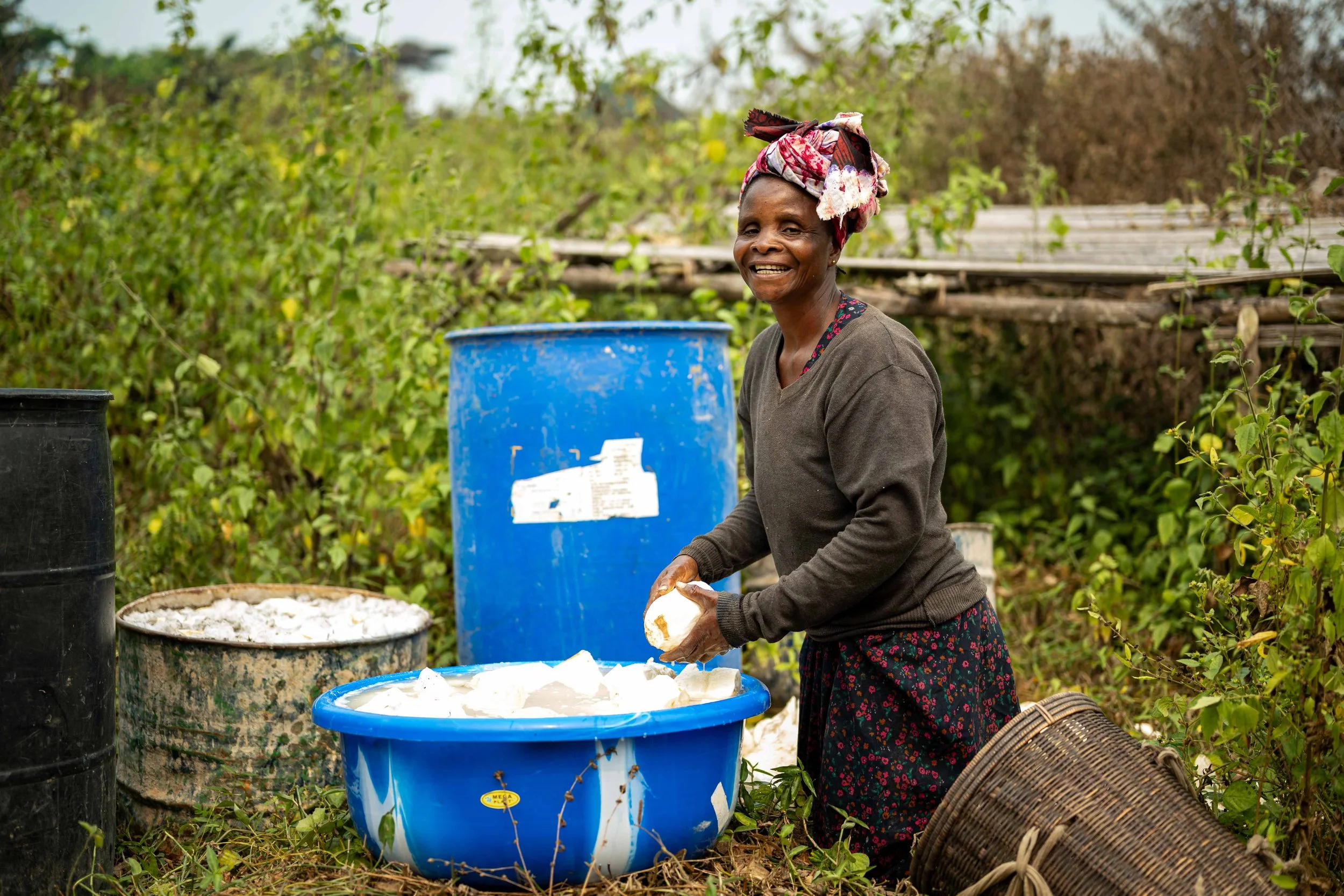 Anna Bello, 56, washes cassava, a key step in processing, Mai-Ndombe, Democratic Republic of Congo, August 2025.