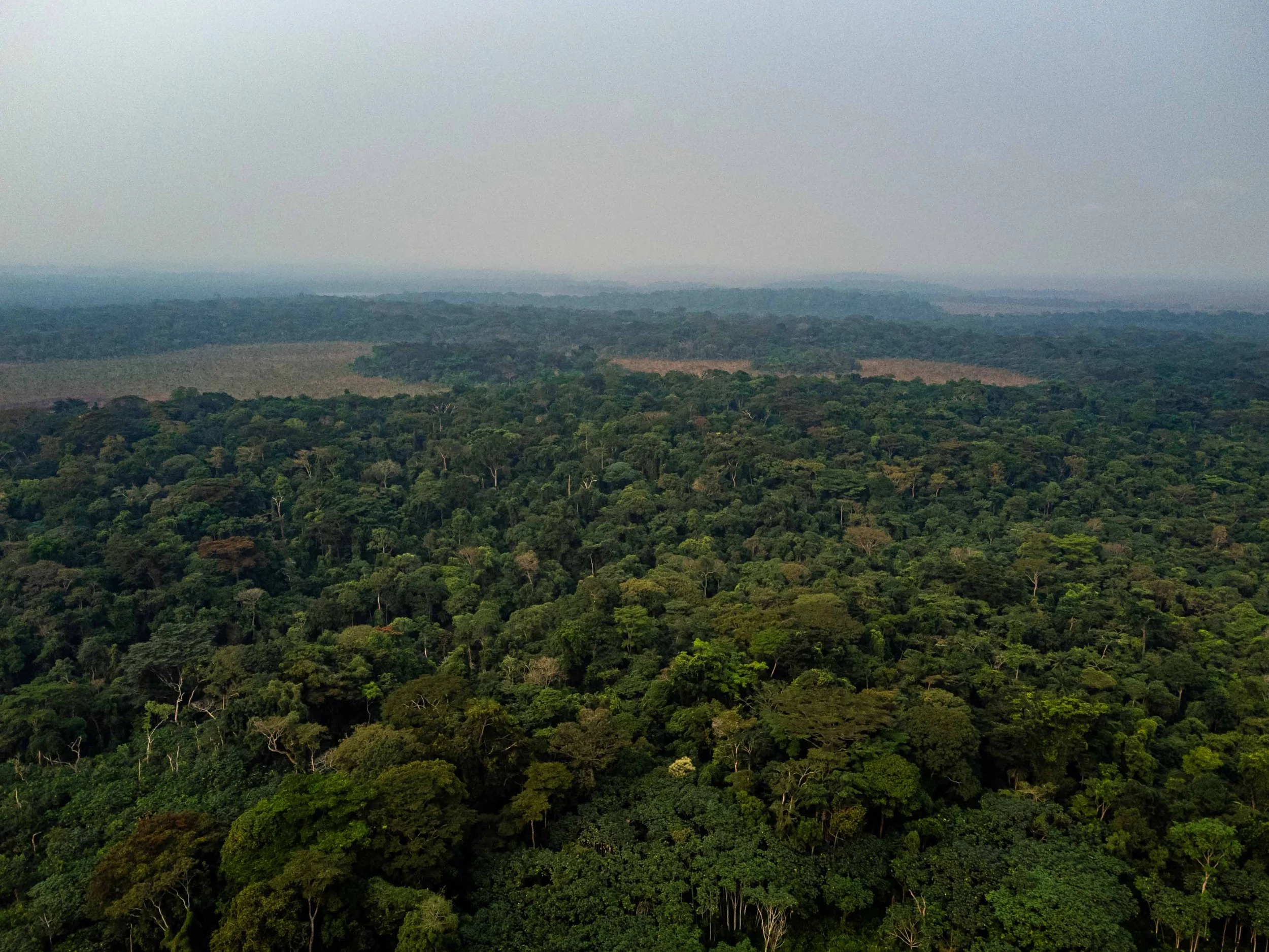 Aerial view of the Lempu observation site, showing its forest–savanna mosaic, Mai-Ndombe, Democratic Republic of Congo, August 2025.