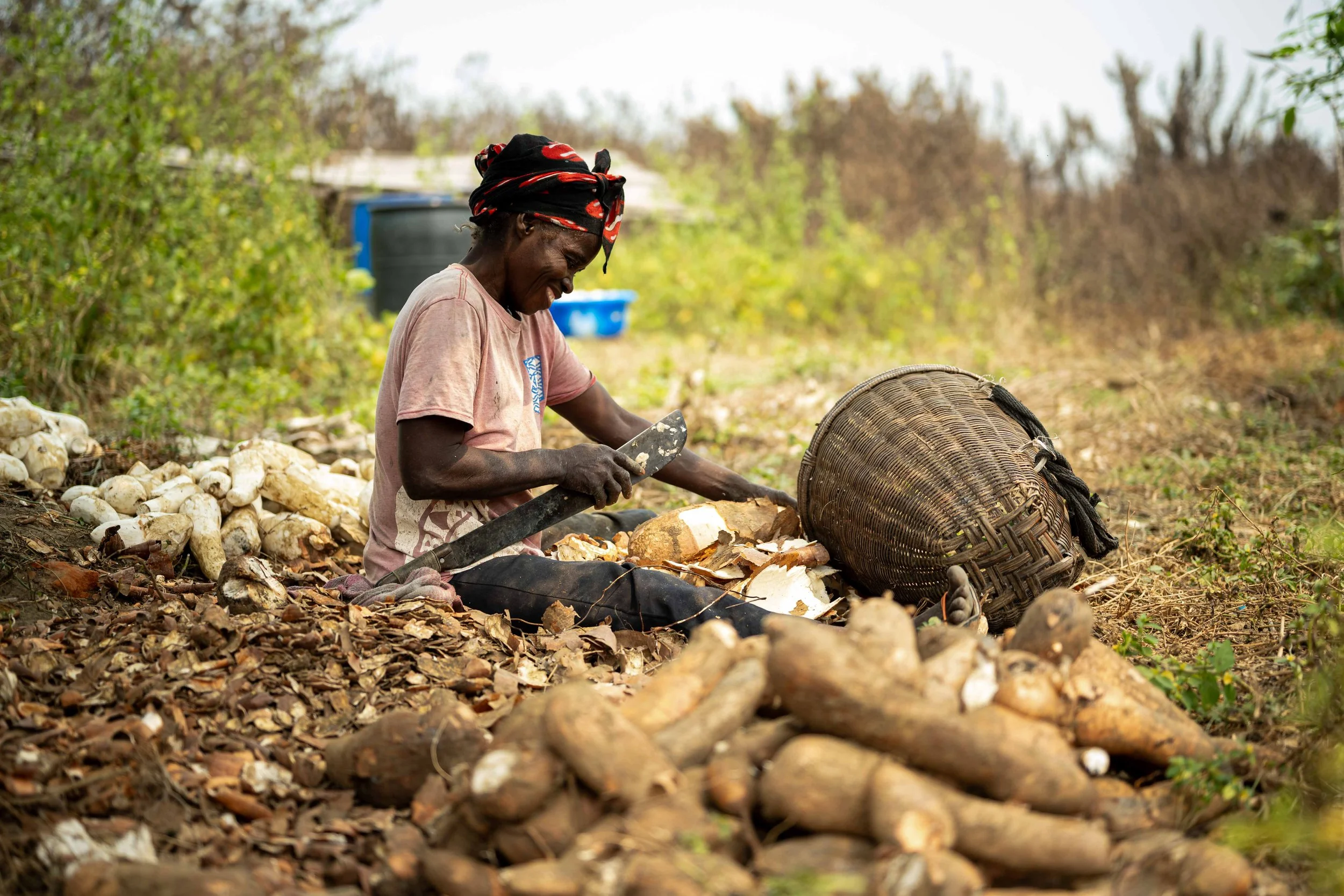 Angèle Monkola, 58, an artisan trained by the Mbou Mon Tour NGO in sustainable farming techniques, peels cassava, Mai-Ndombe, Democratic Republic of Congo, August 2025.