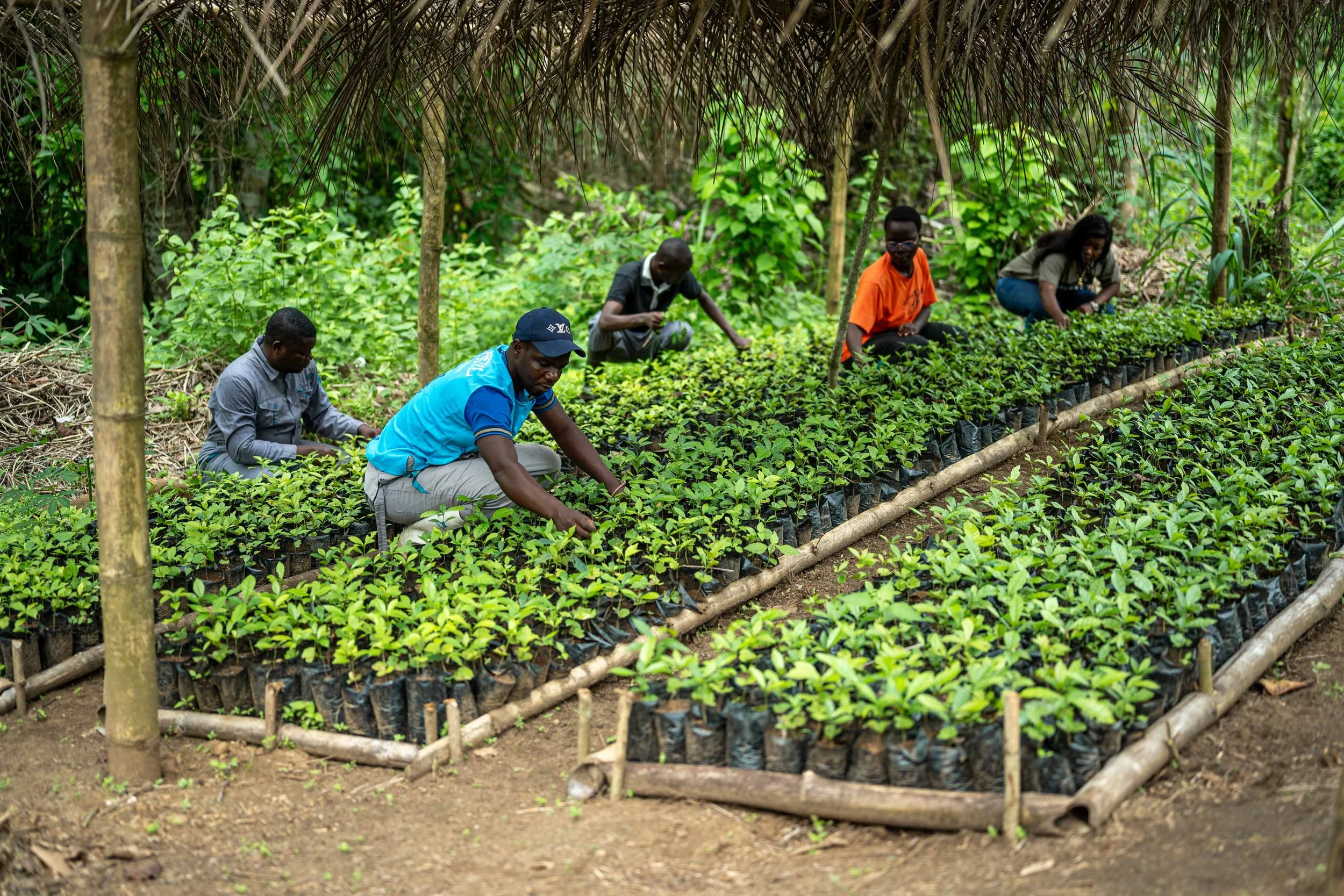 COCOI project — HERMAN KAMBALA | Congolese Photographer