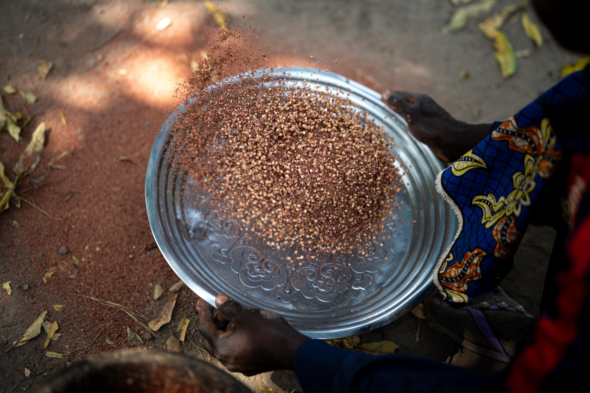 Gisèle en train de trier le sorgho issu de sa récente récolte à Markounda, République centrafricaine, décembre 2025.