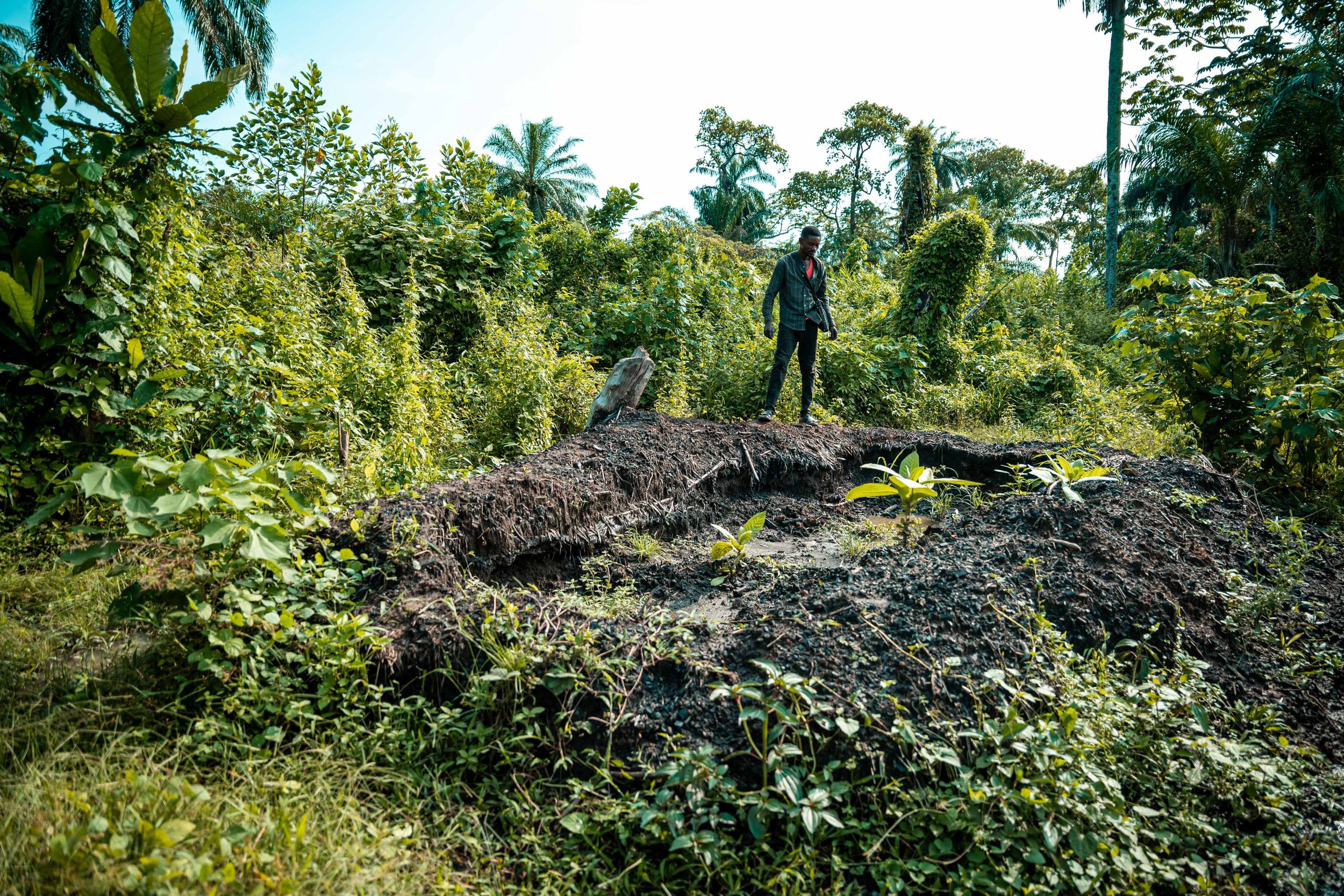 Charcoal production activity within one of the CATPC plantations. Lusanga, Democratic Republic of the Congo, February 2025.