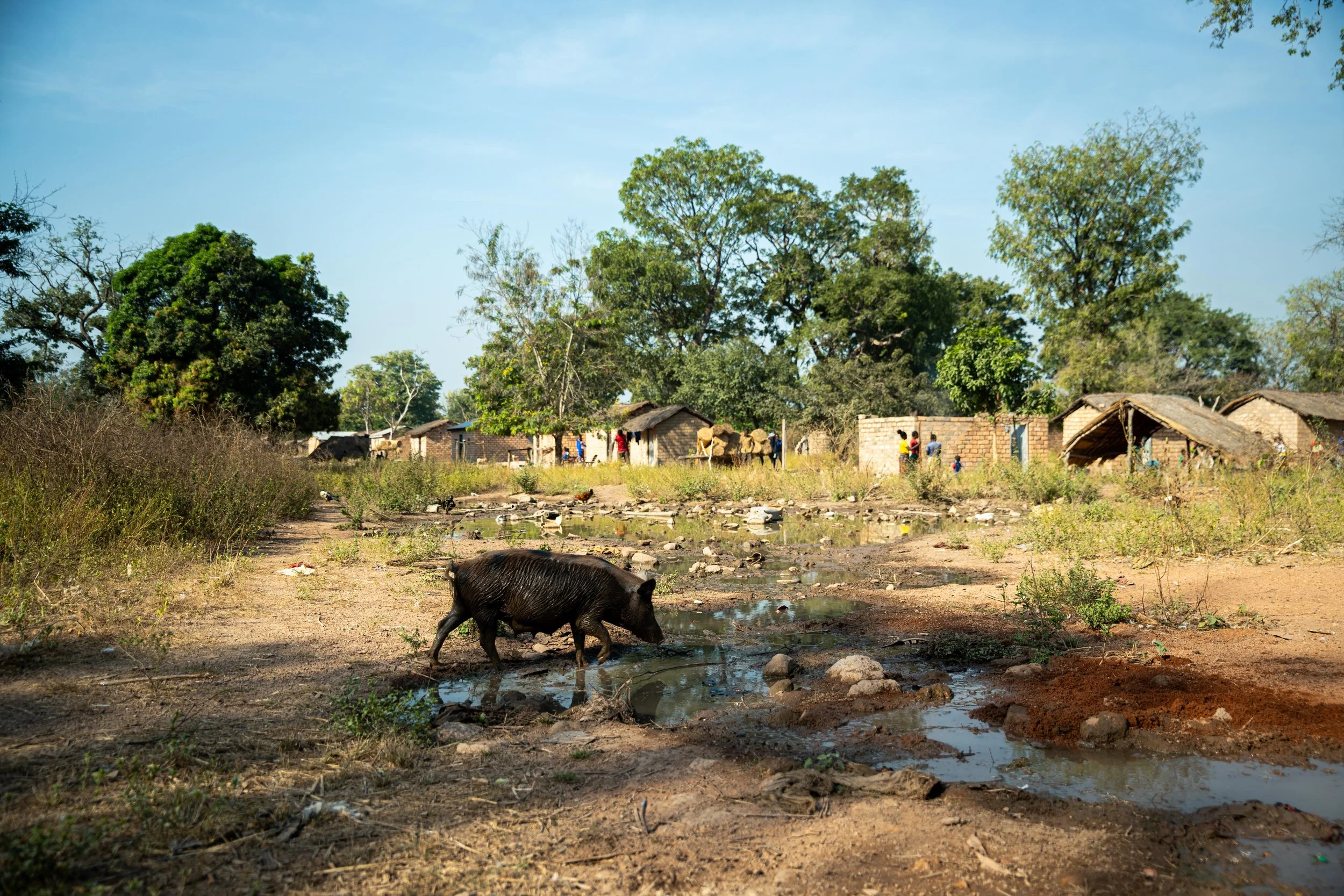 Vue générale d’un camp de déplacés à Markounda, République centrafricaine, décembre 2025.