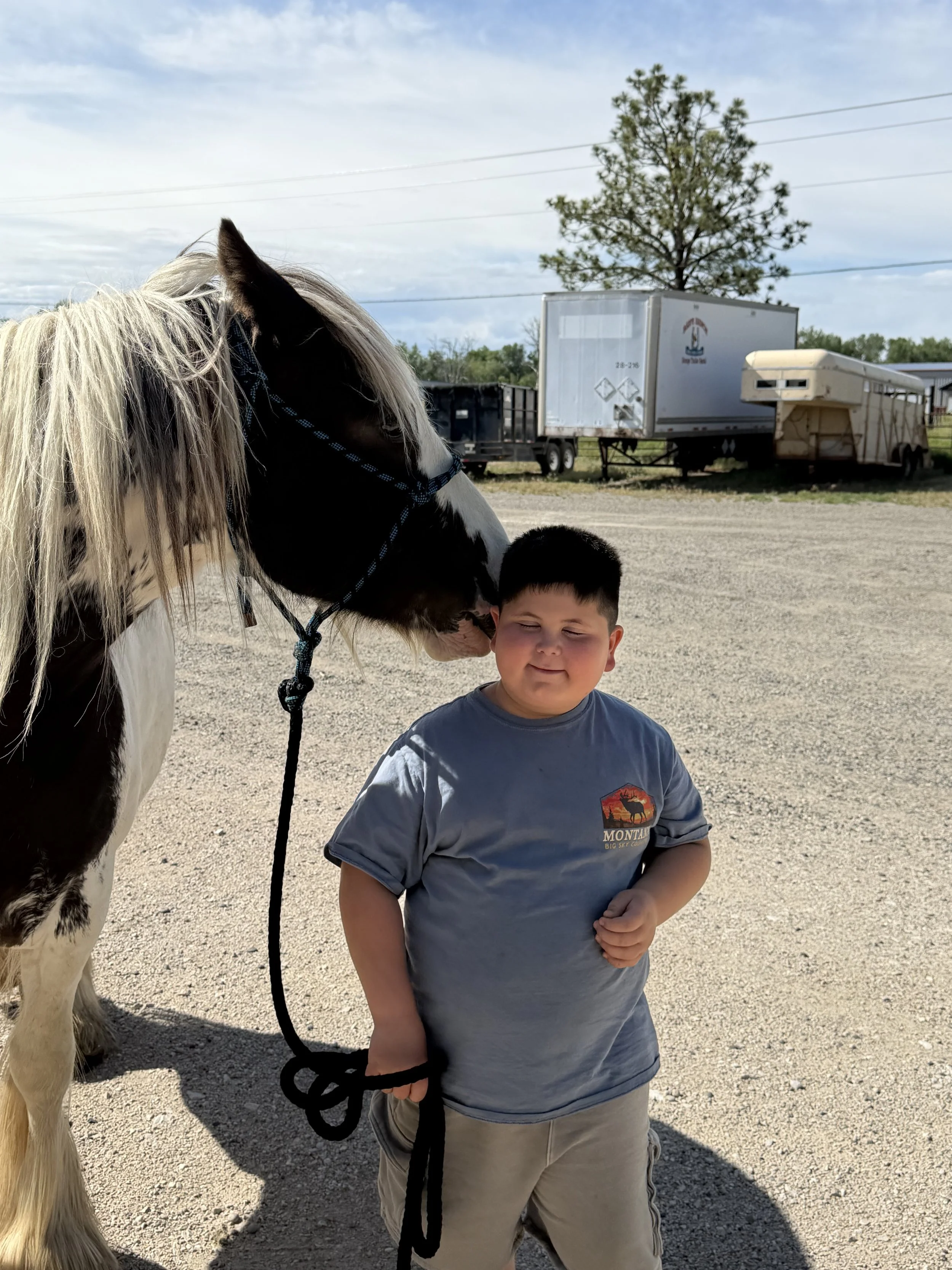 June, Horses, and the Art of Growth