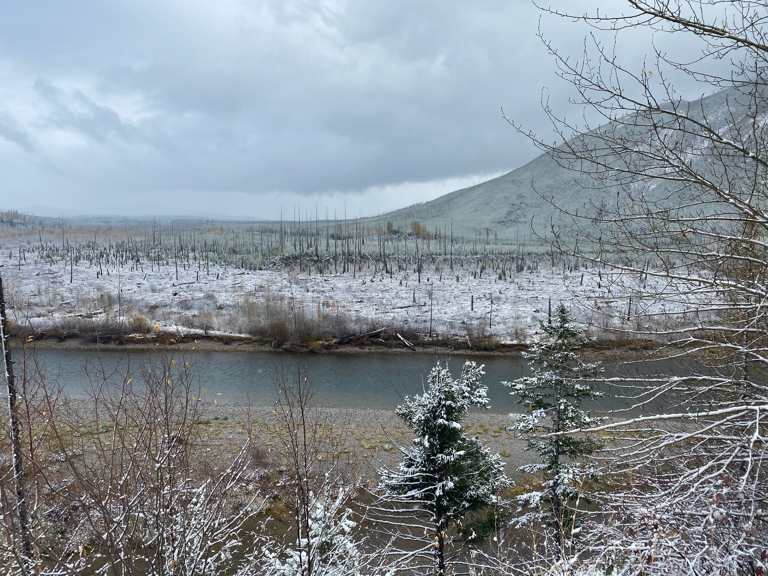 North Fork Flathead River