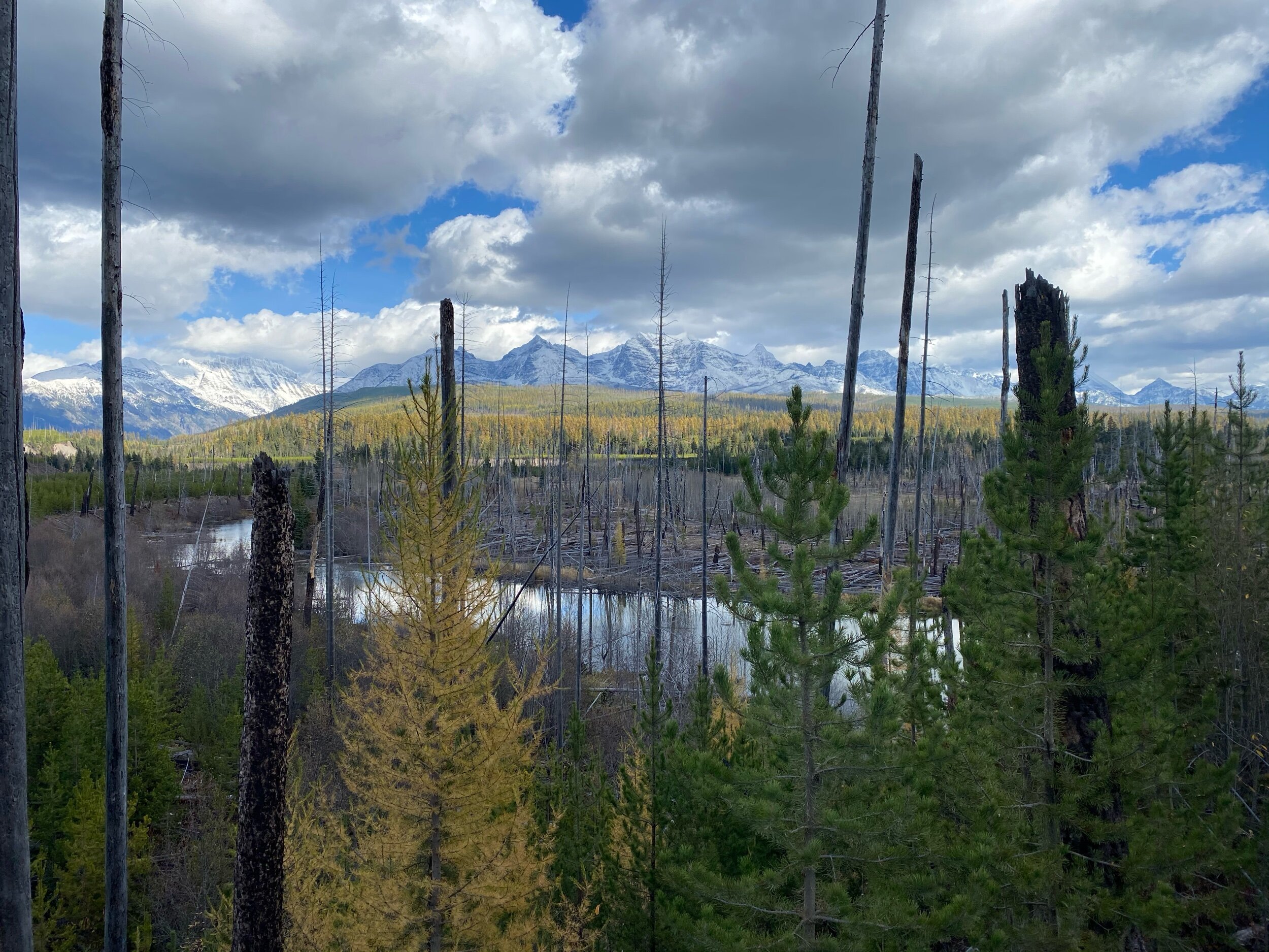 Glacier NP Scenery