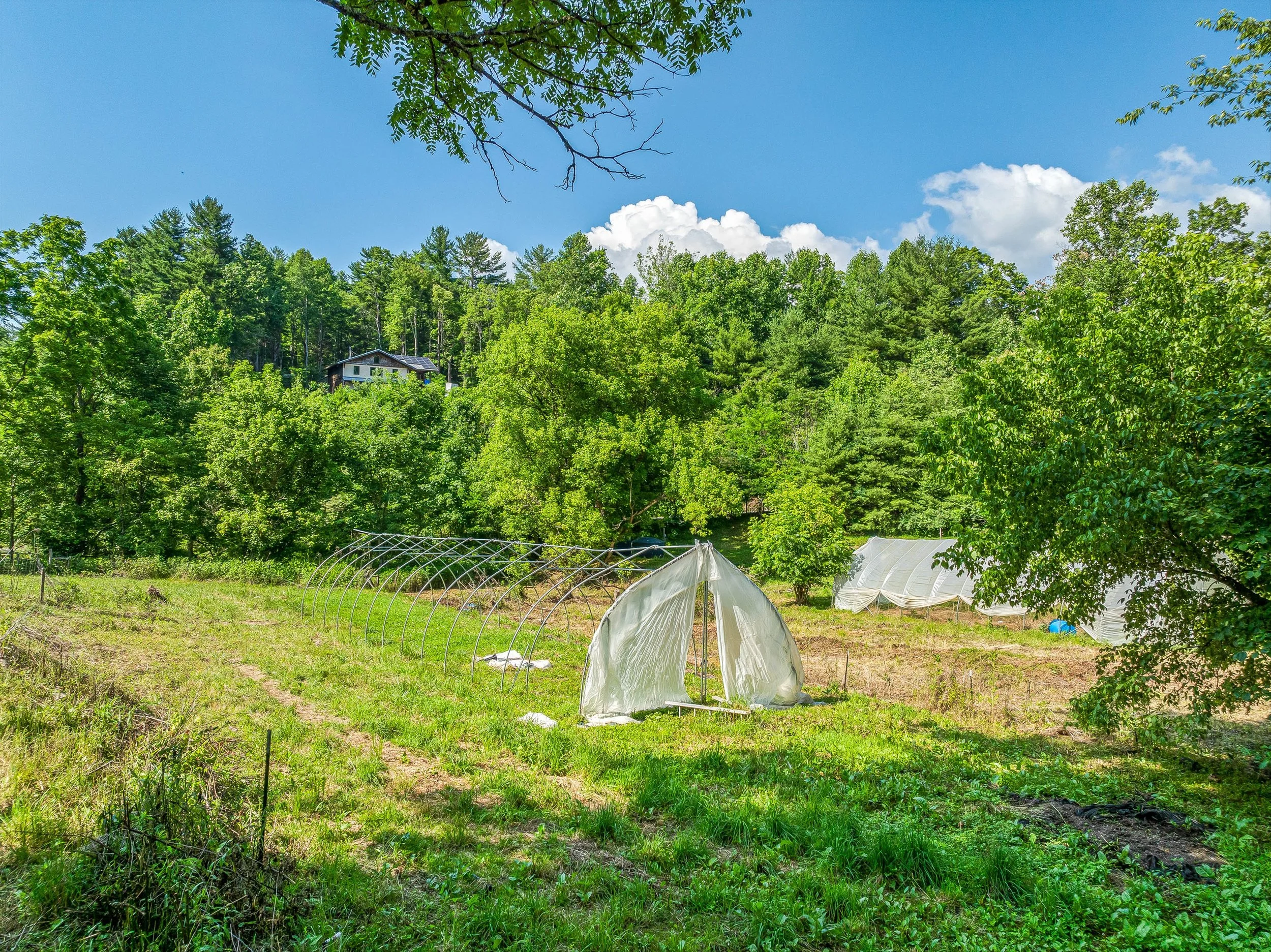 56-3151 LUMP TOWN RD - RESHOOT - 01.jpg