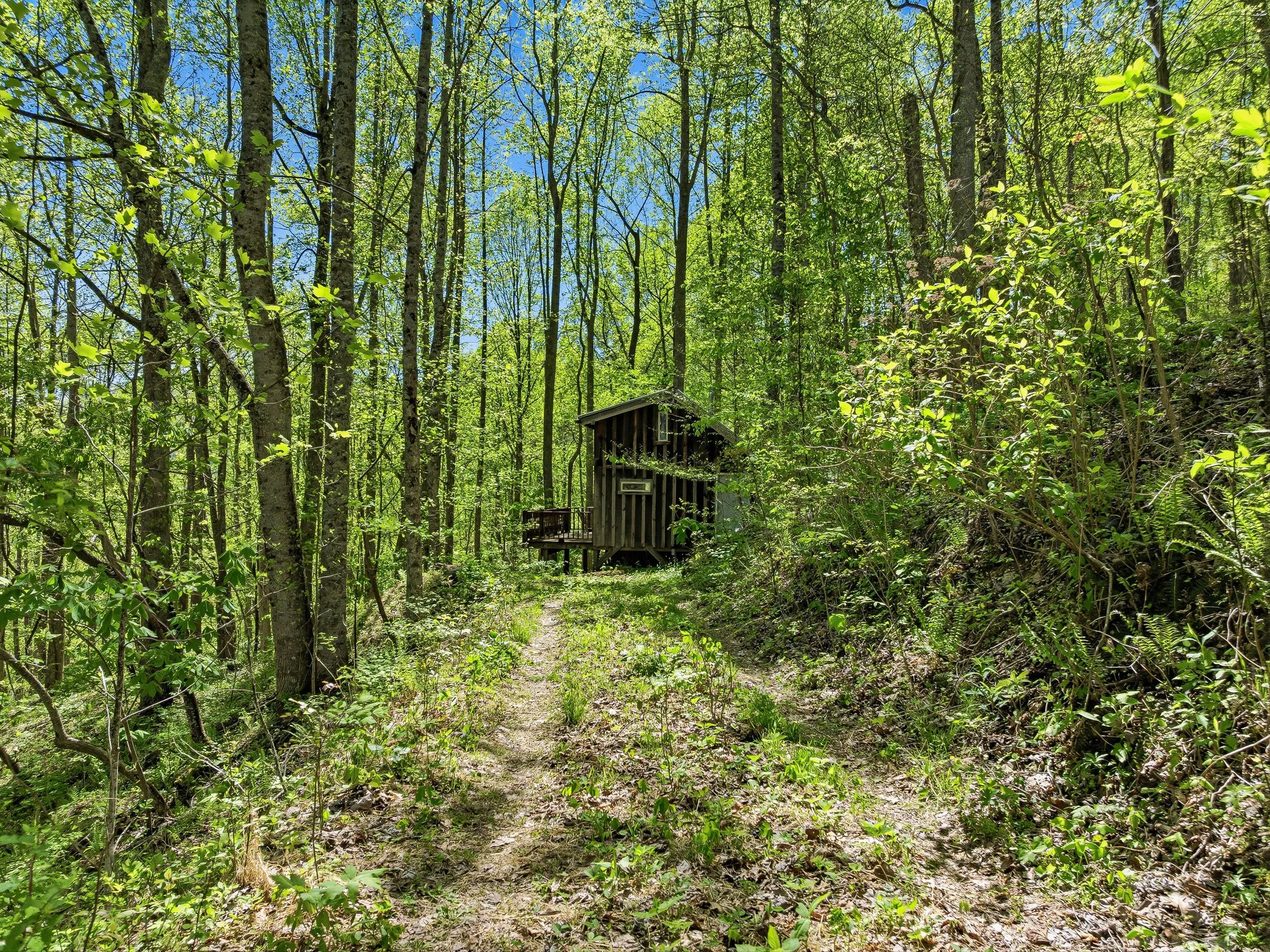 03-3167 LUMPTOWN RD-03.jpg