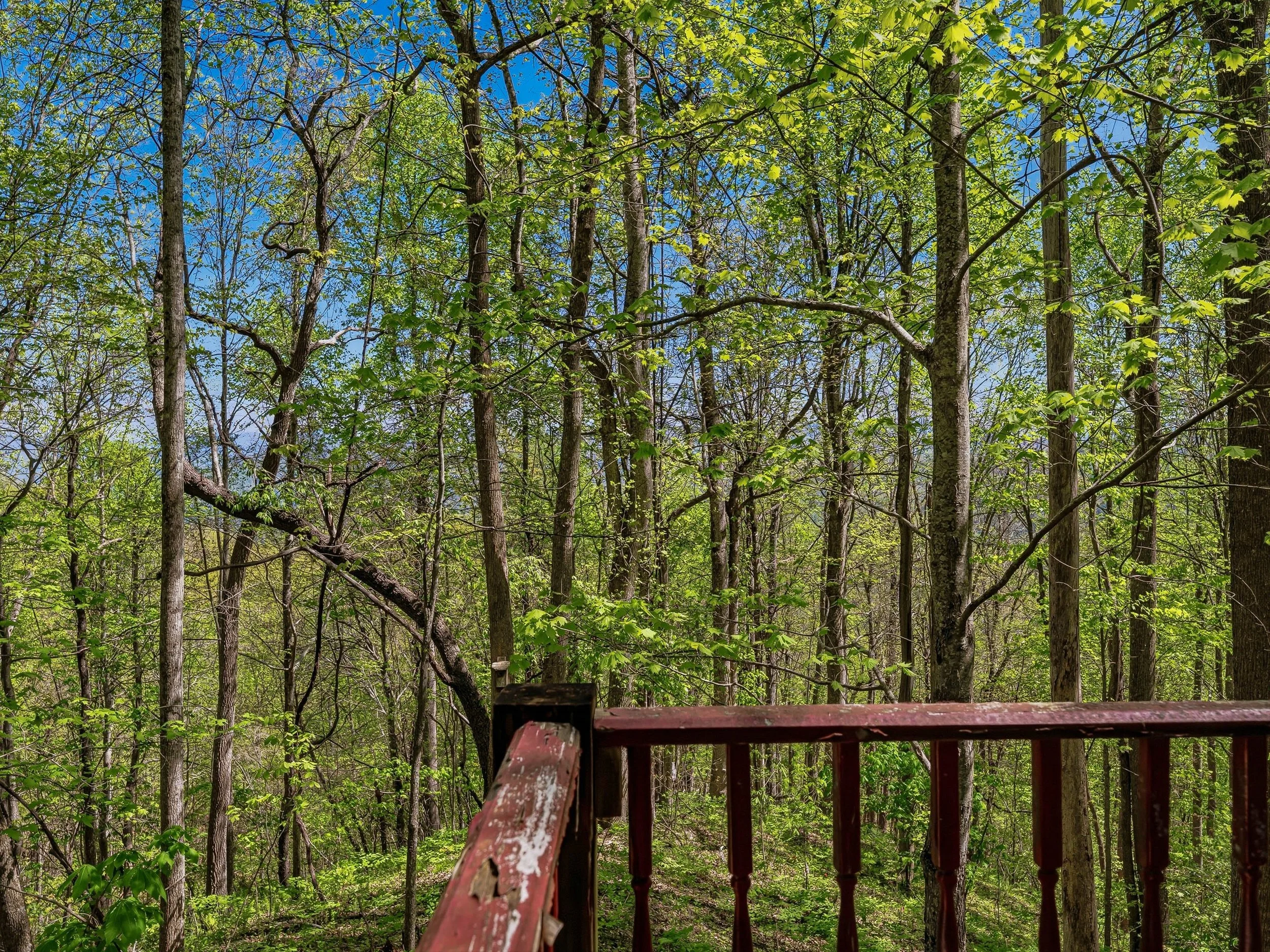 19-3167 LUMPTOWN RD-19.jpg