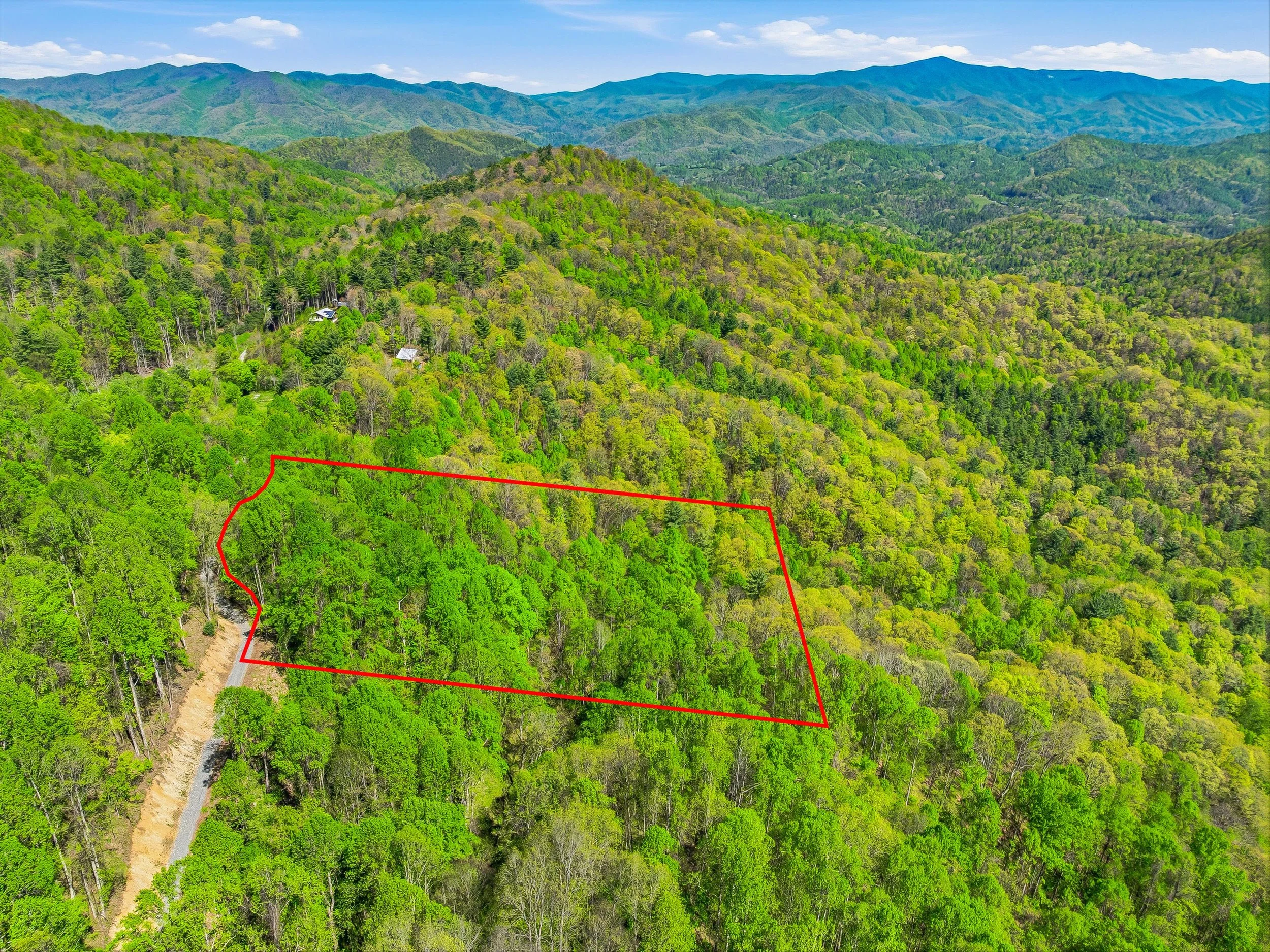 29-3167 LUMPTOWN RD - OUTLINES-02.jpg