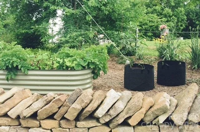 garden.jpeg