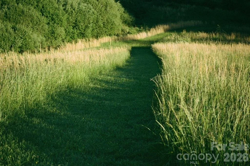 grass.jpeg