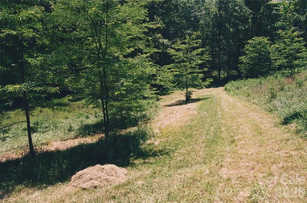 mowed.jpeg