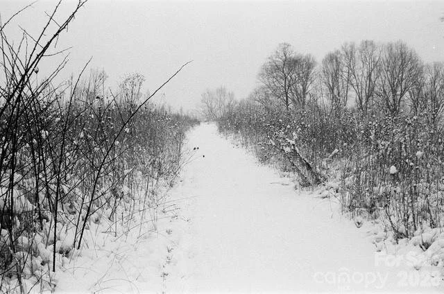 snow.jpeg