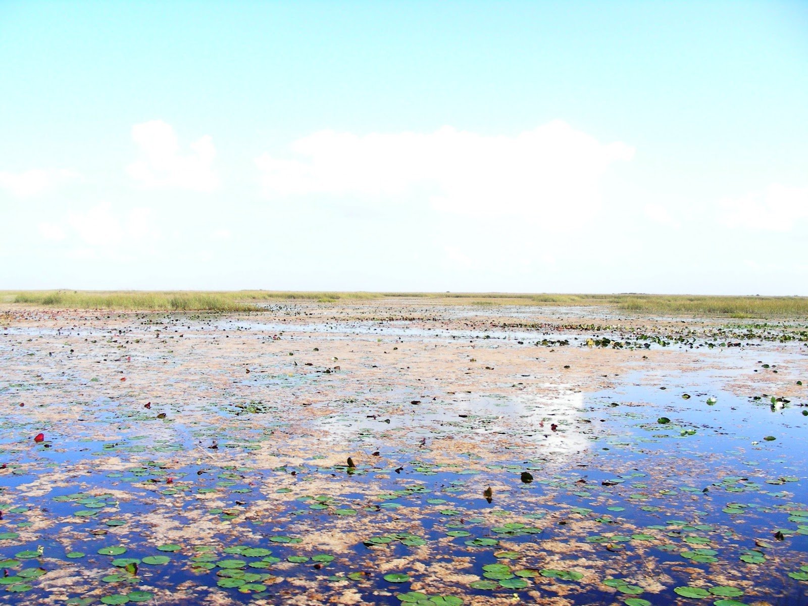 What are the Everglades?