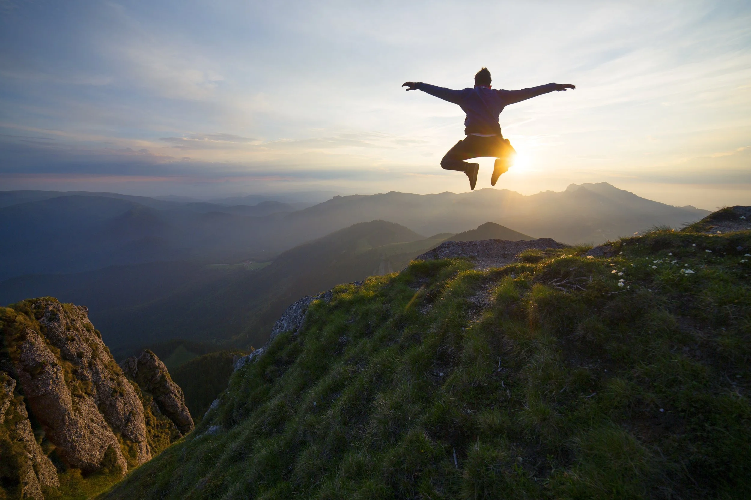 Spineworks banner.jpg