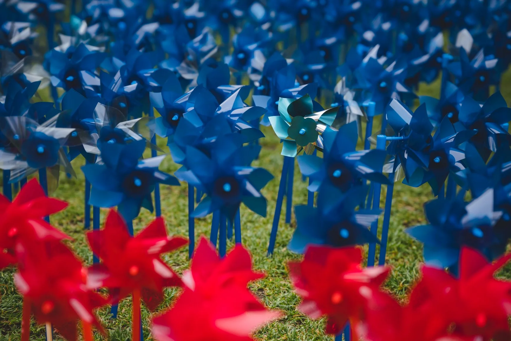 pinwheelwebsize-79.jpg