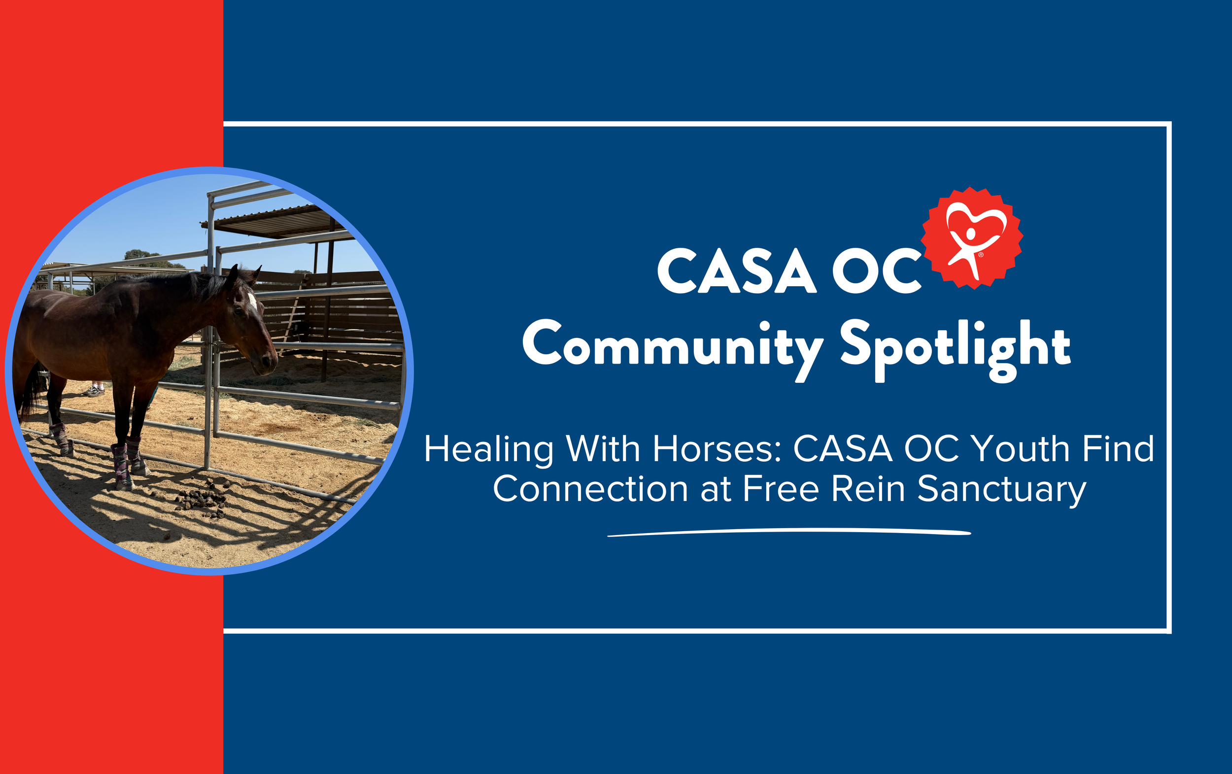 Healing With Horses: CASA OC Youth Find Connection at Free Rein Sanctuary