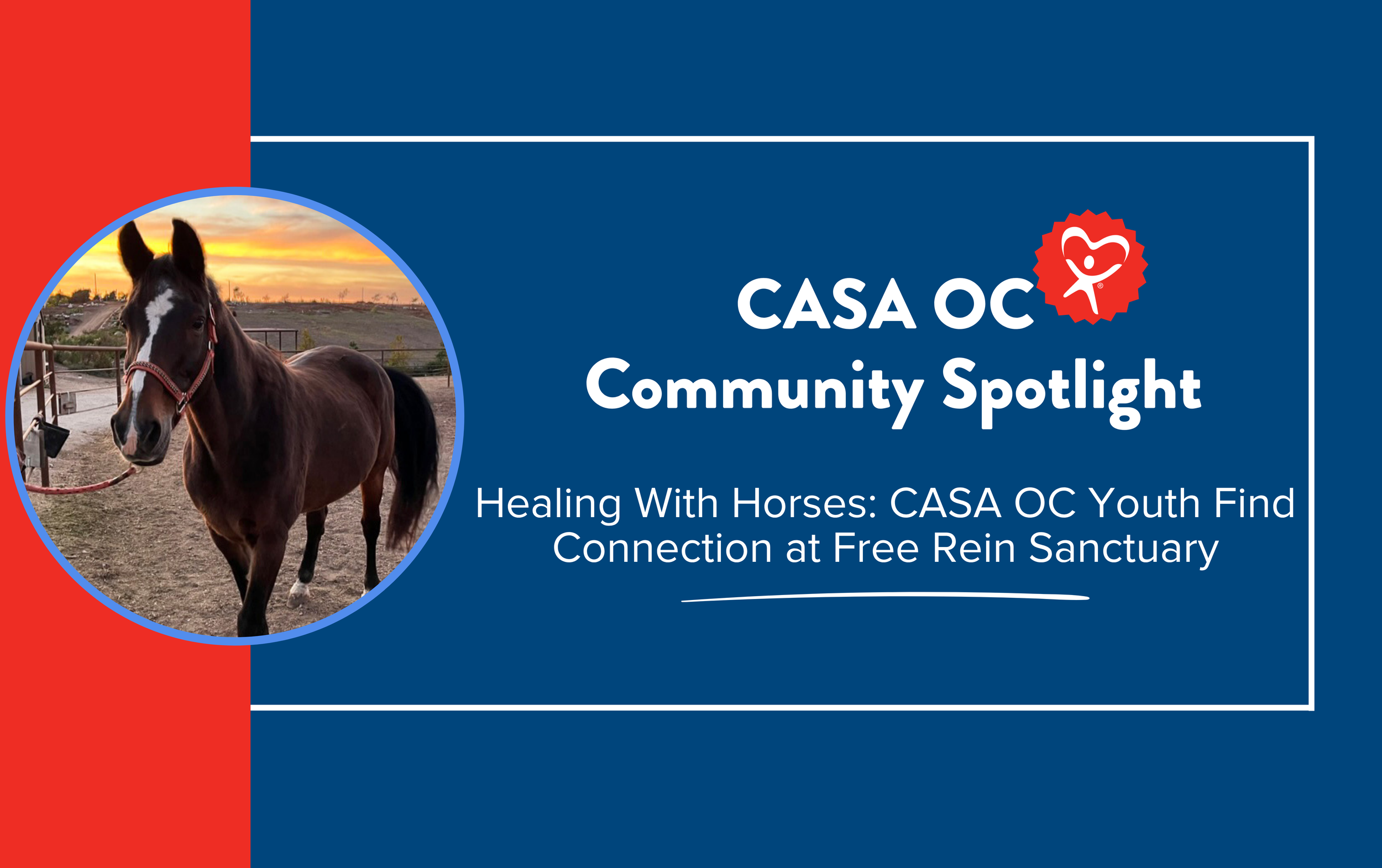 Healing With Horses: CASA OC Youth Find Connection at Free Rein Sanctuary