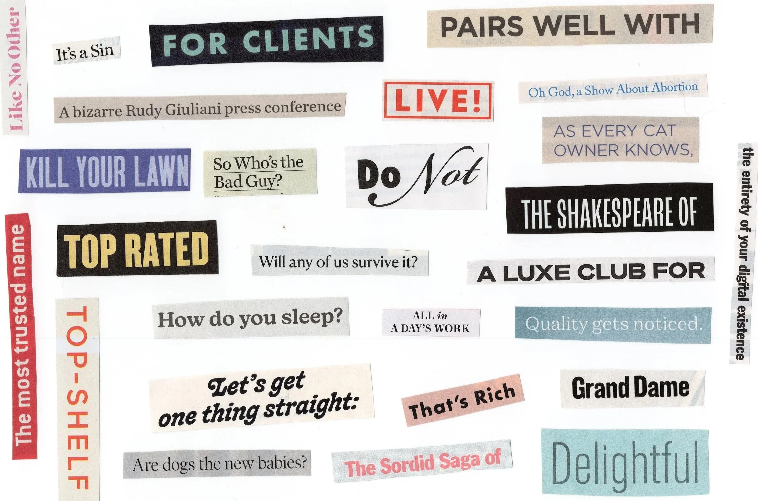 More ad clippings laid out in a rough grid. They say things like "The most trusted name" and "Are dogs the new babies?"