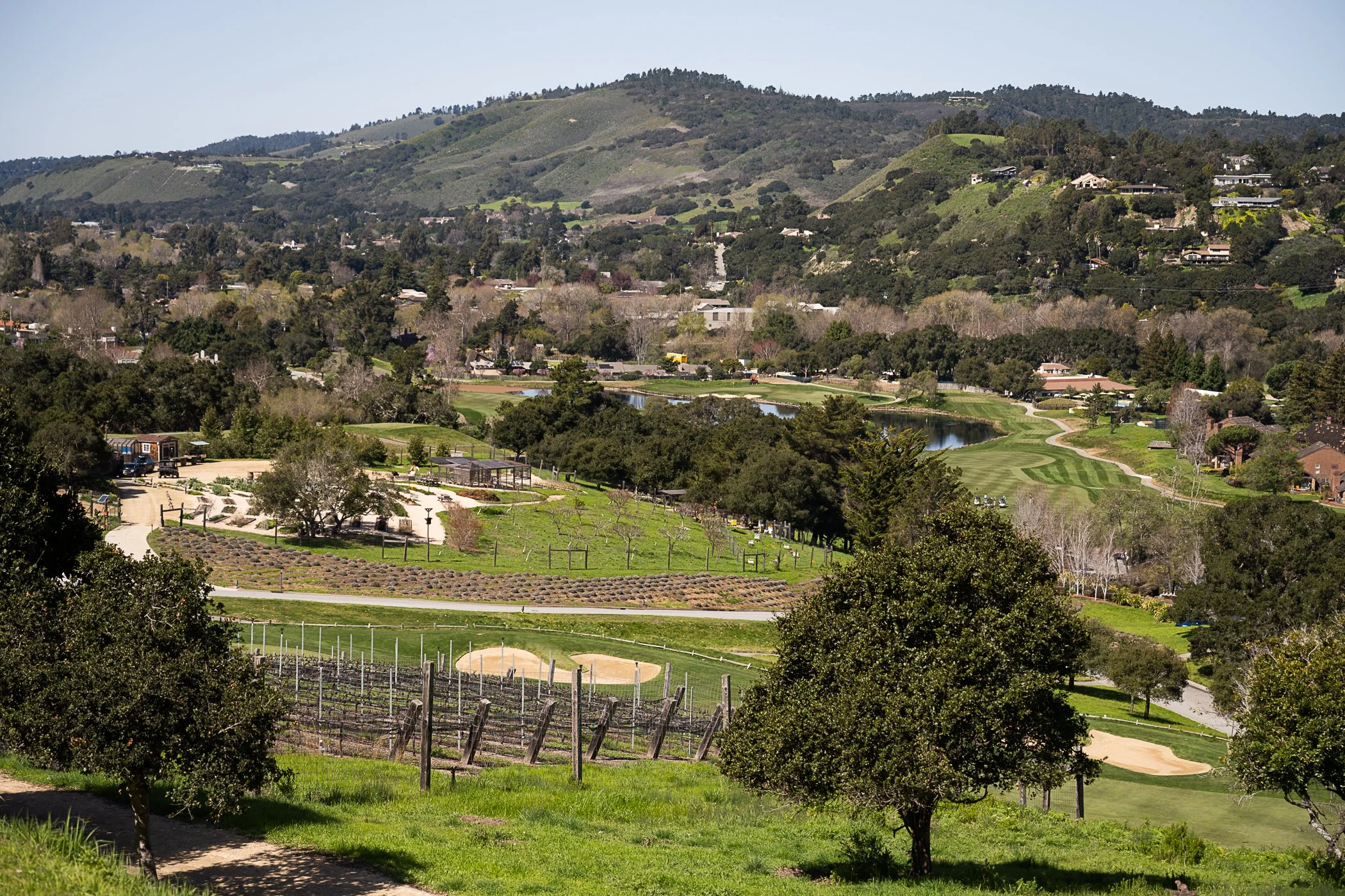 12 Lovely Things About Carmel Valley Ranch — This Here Town