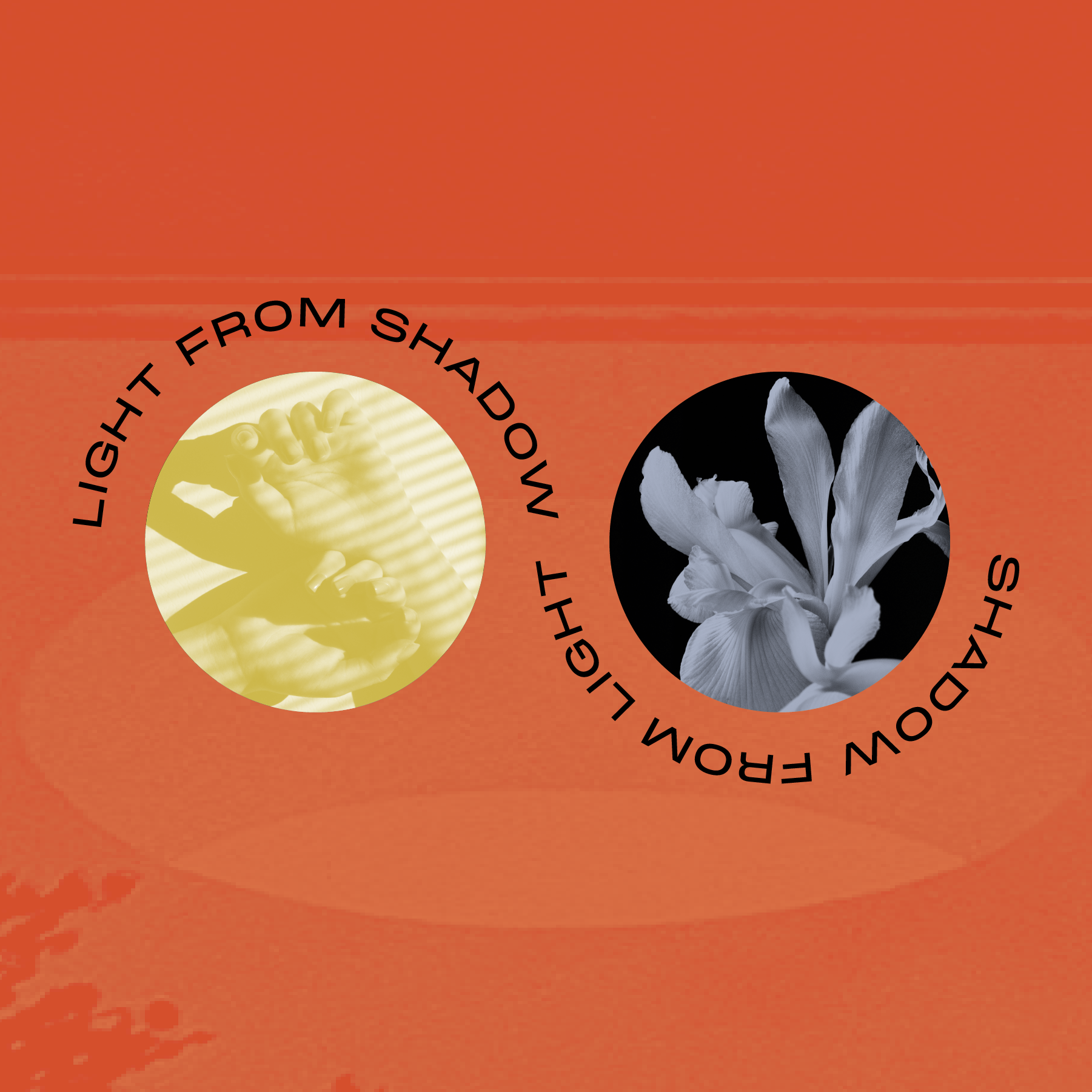 Artboard 8 copy 4@3x.png