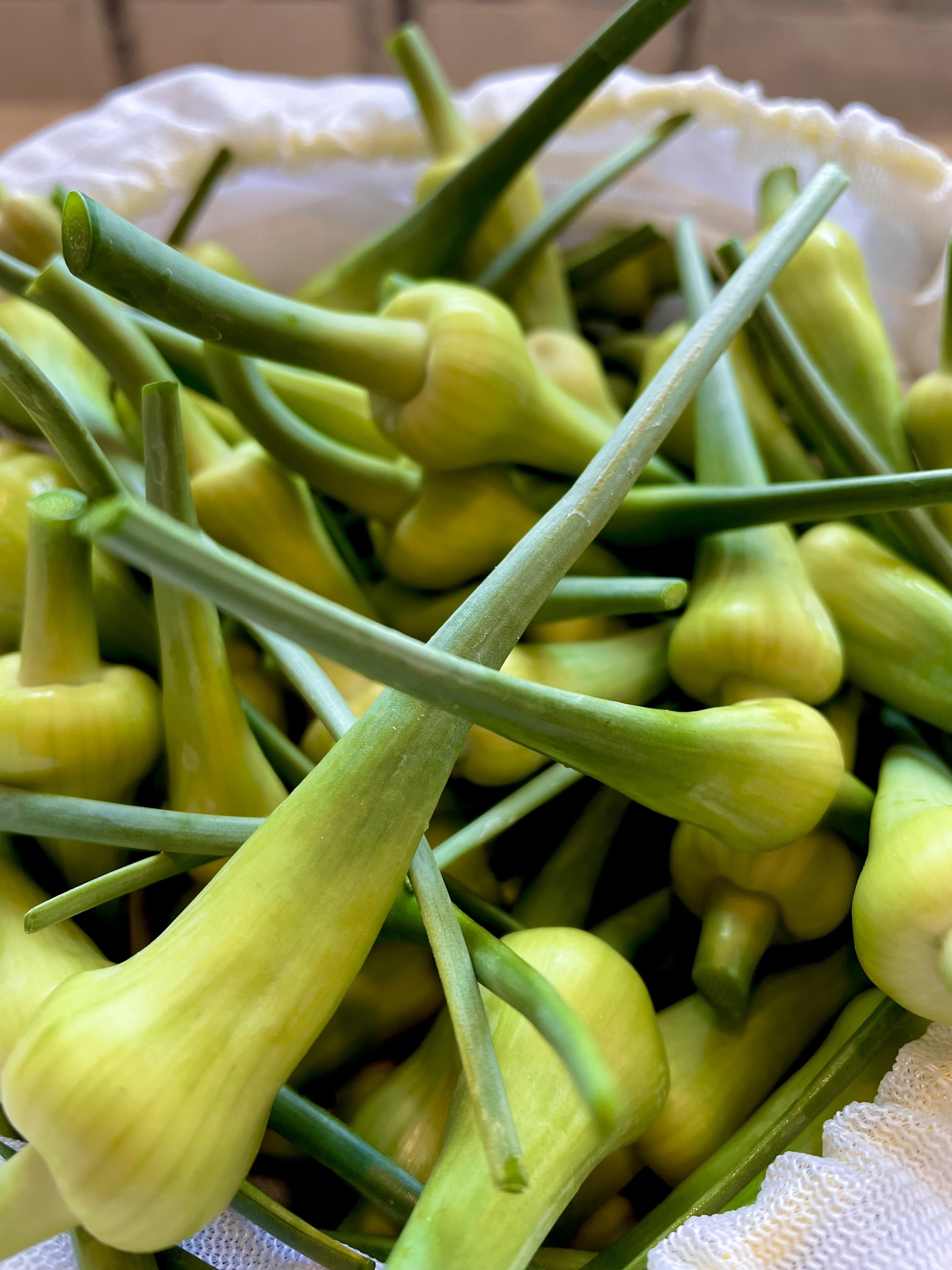 Garlic scapes.jpg