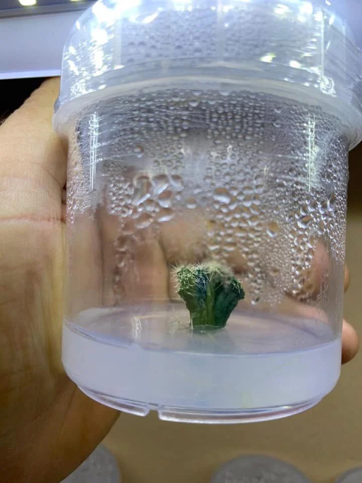 E5 - Huan Shuma E5 - Huan Shuma