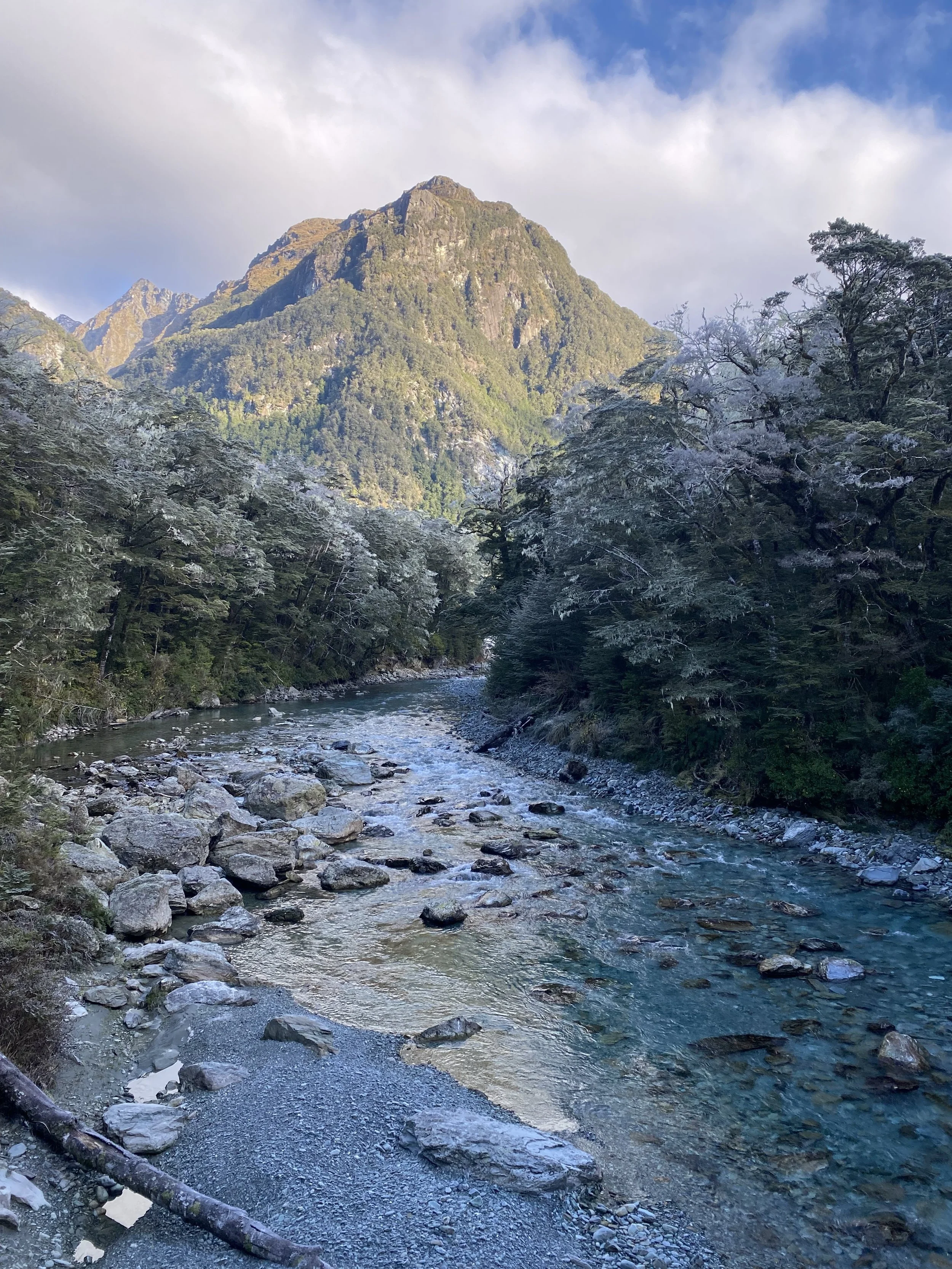 Routeburn mountain view 4.jpeg