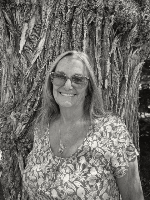 Rae Ann, LPC, LAC^Crisis Clinician