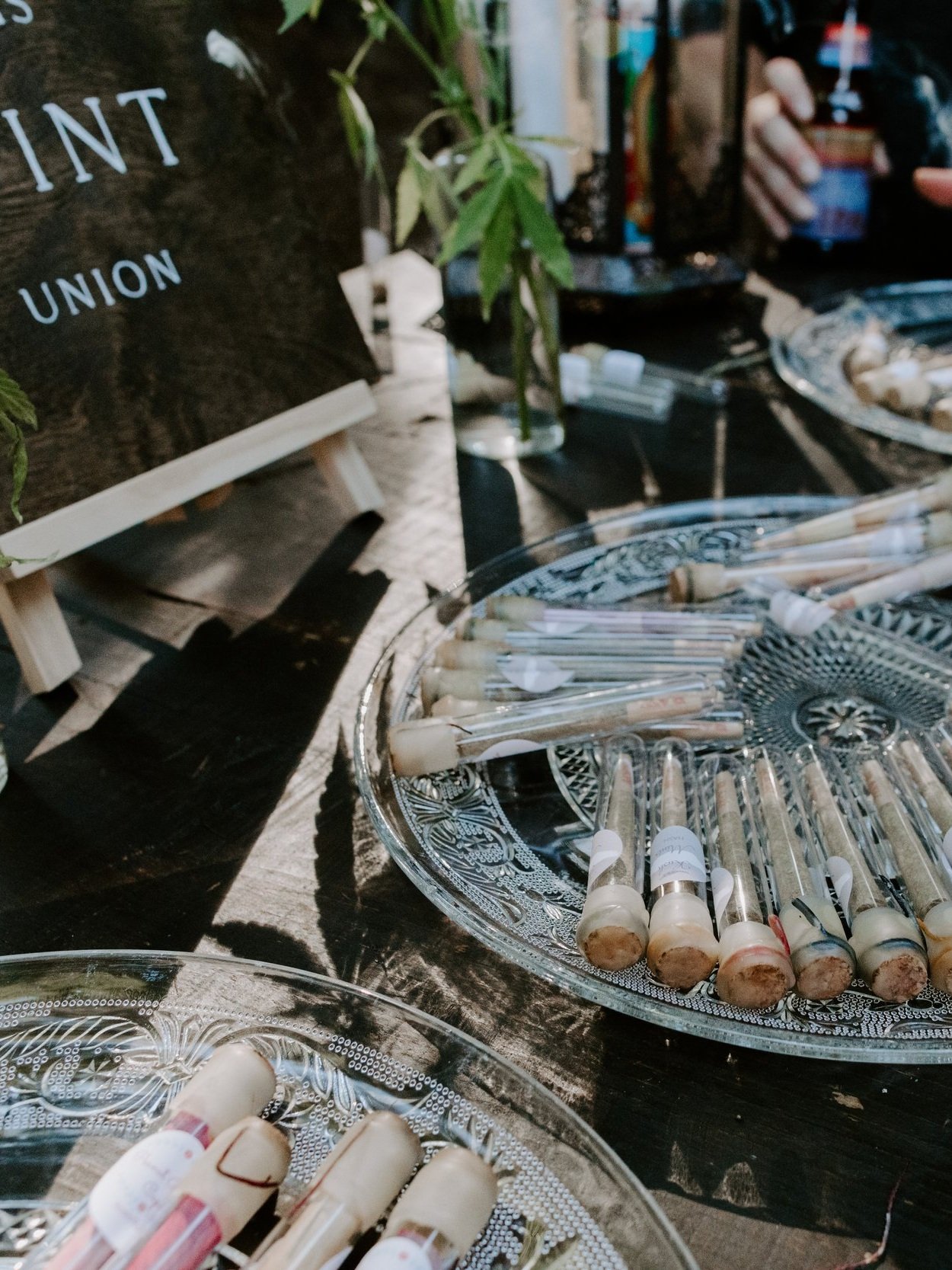 Joint display on elegent tray at The Brambles, in Philo, California