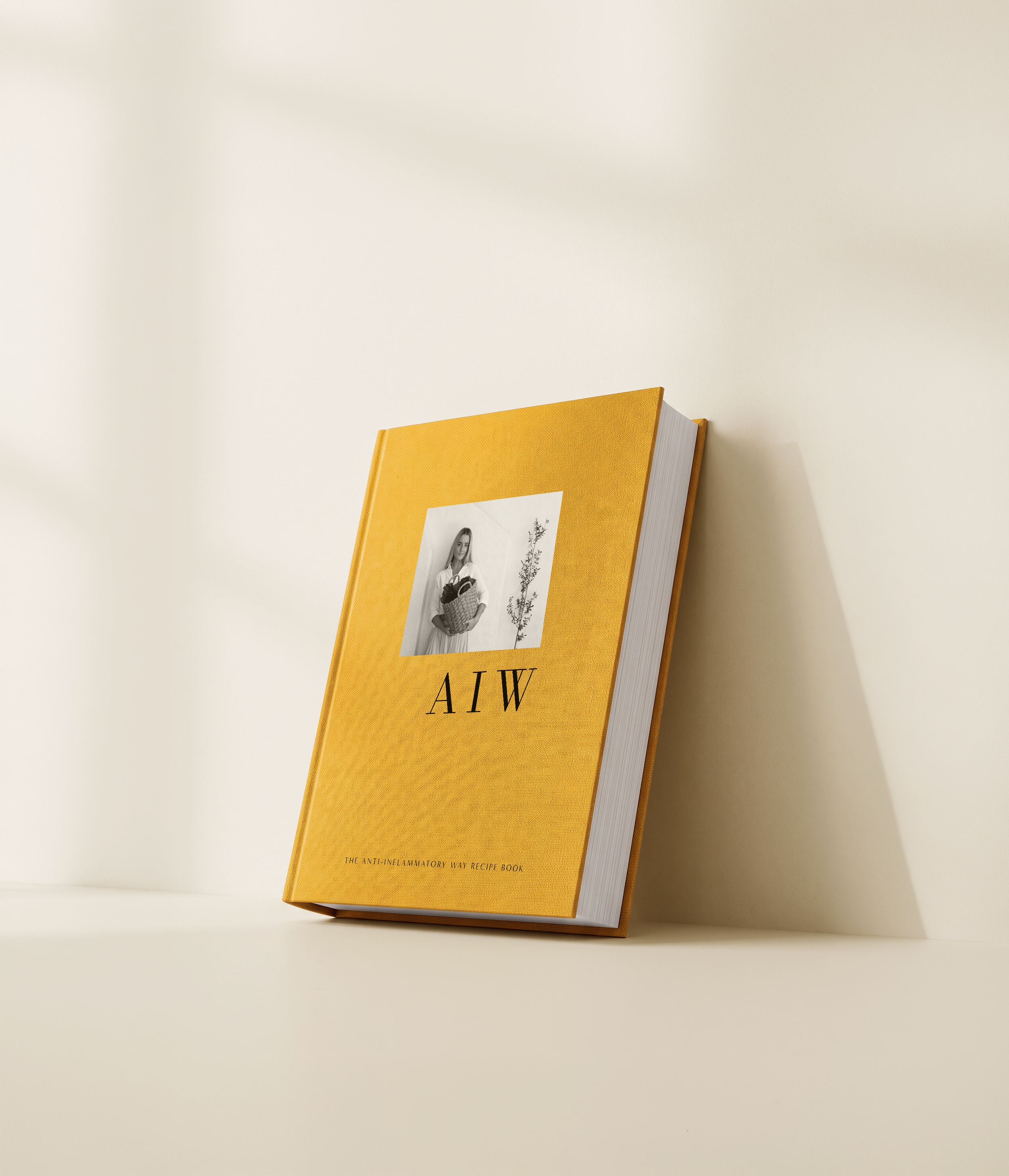 THE ANTI-INFLAMMATORY WAY RECIPE BOOK
