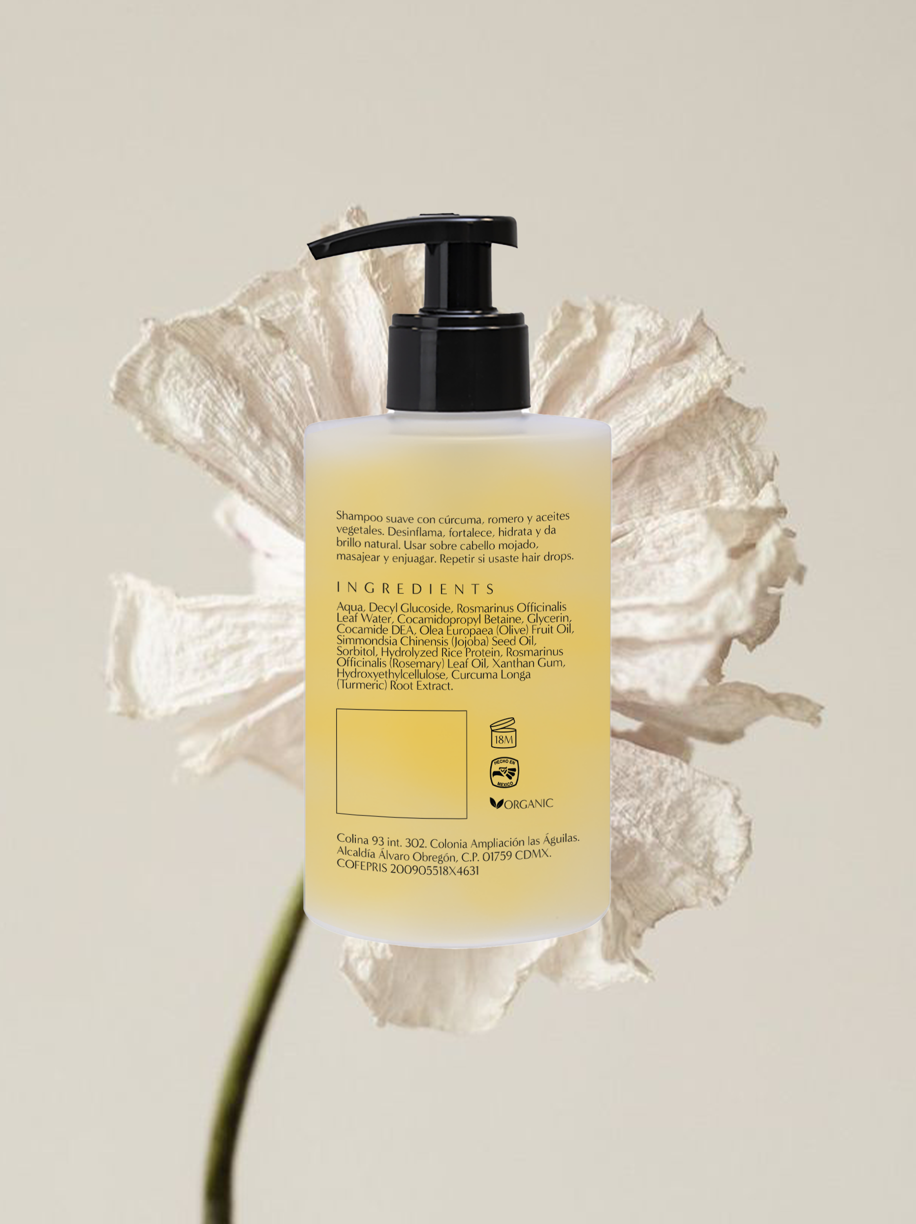 Shampoo-Back-Mockup-V5.png
