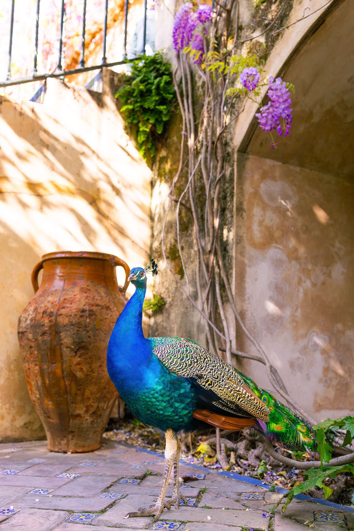 393A8313-Enhanced-NR-2.jpg