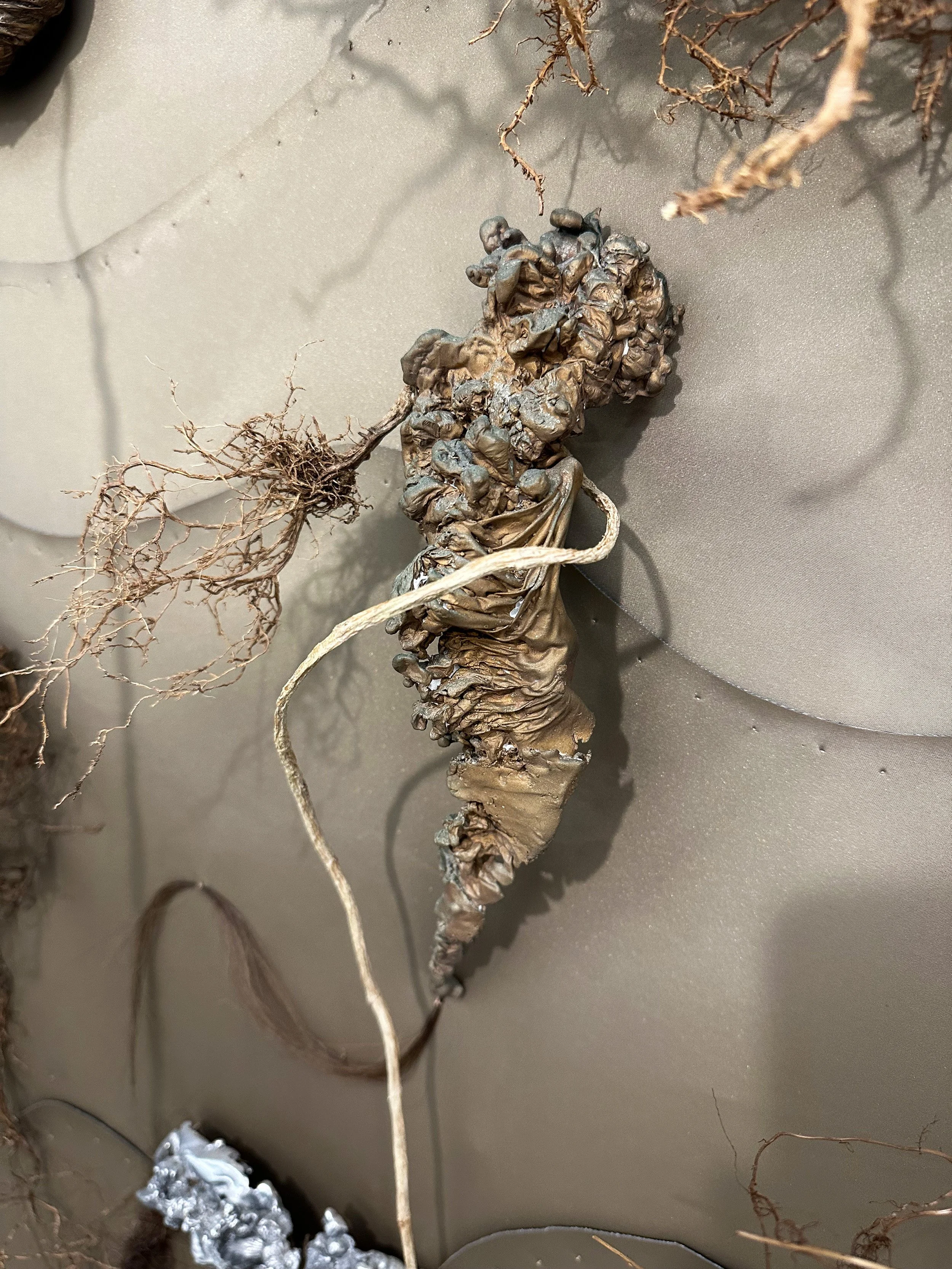 Nazli Efe_ From_  2022-2025