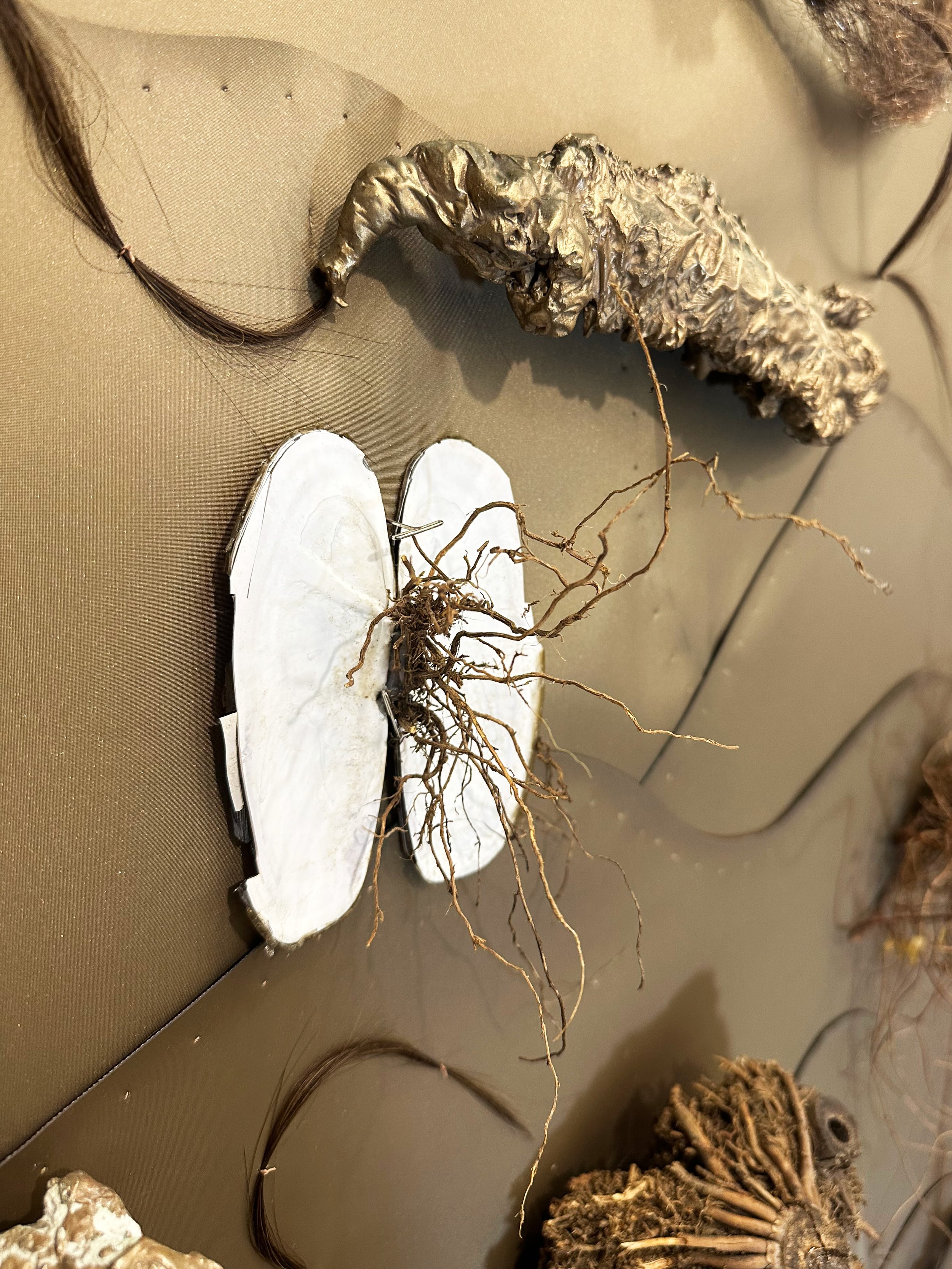 Nazli Efe_ From_  2022-2025