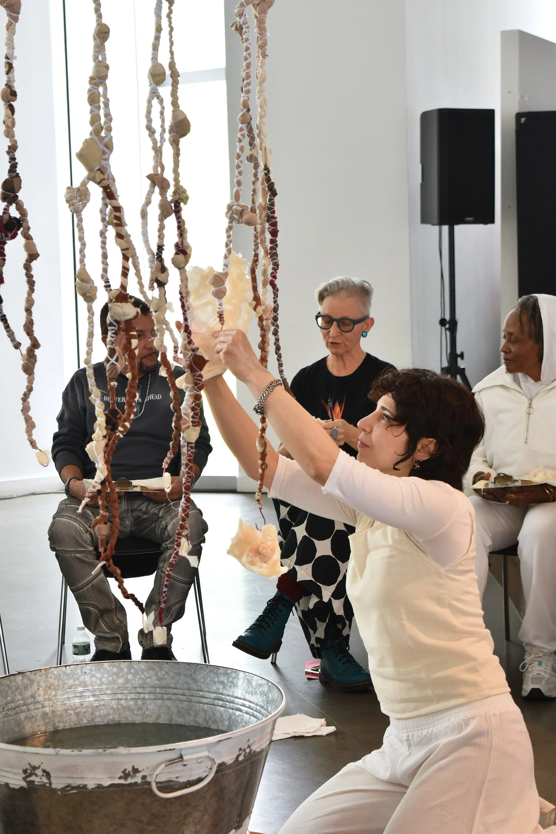 Nazli Efe_ Into The Depths_ 2026_ Bronx Museum