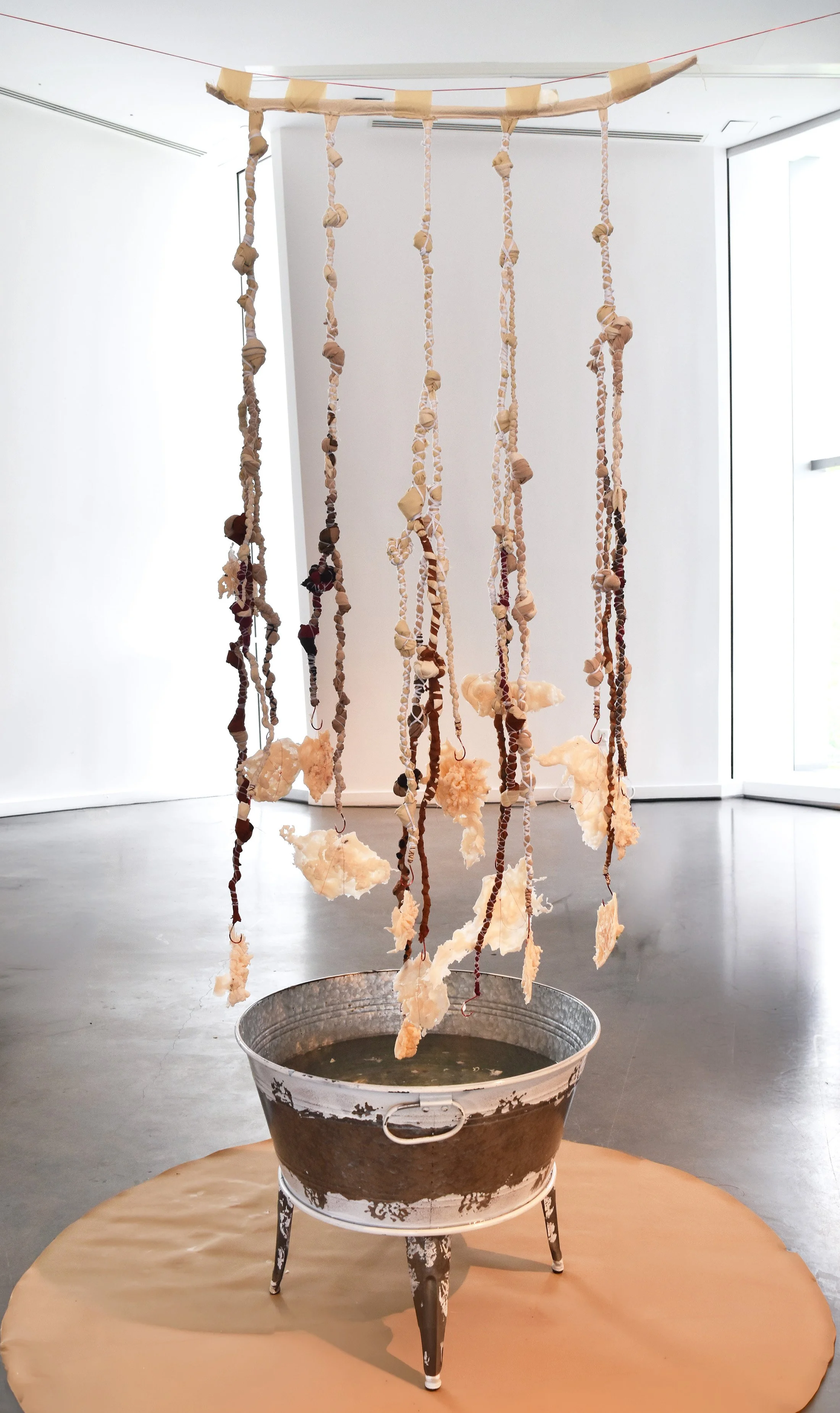Nazli Efe_ Into The Depths_ 2026_ Bronx Museum