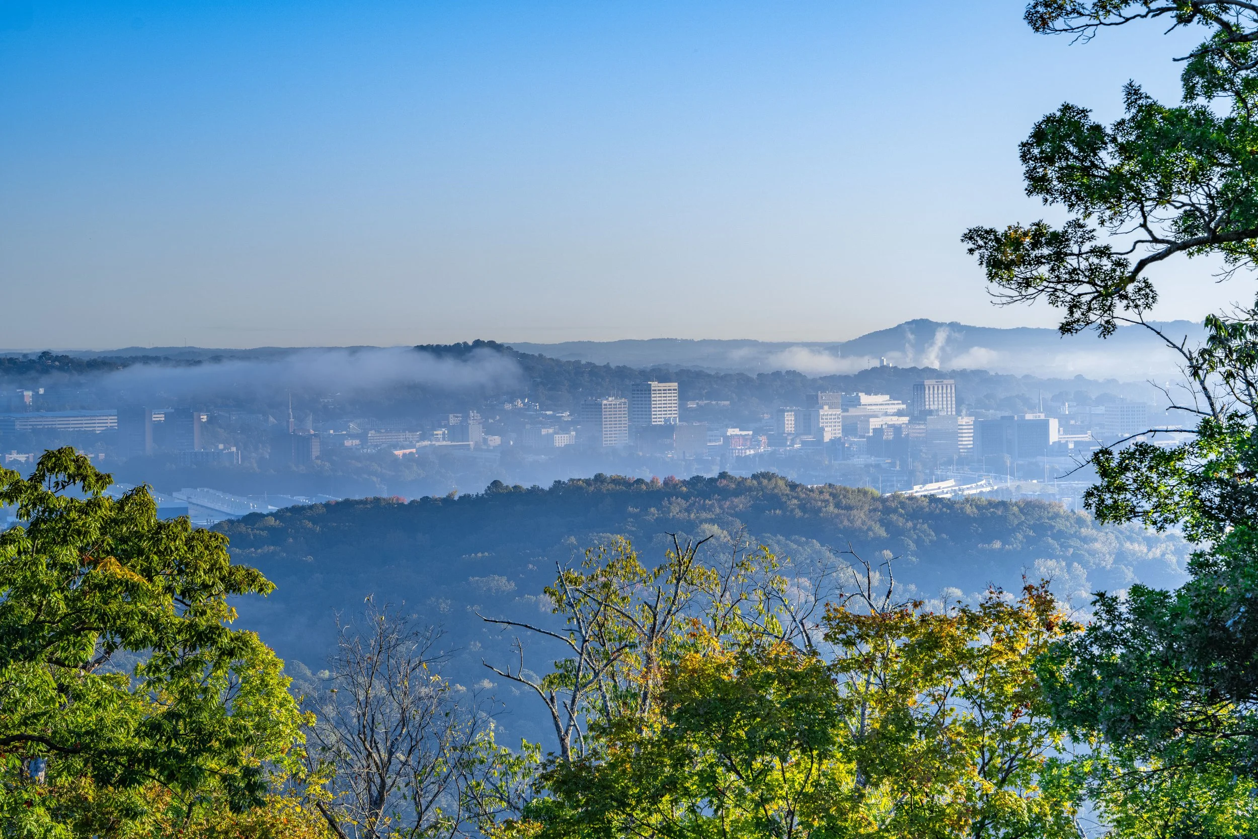 City skyline with multiple tall buildings viewed through green trees, with hills and fog in the background under a clear blue sky.