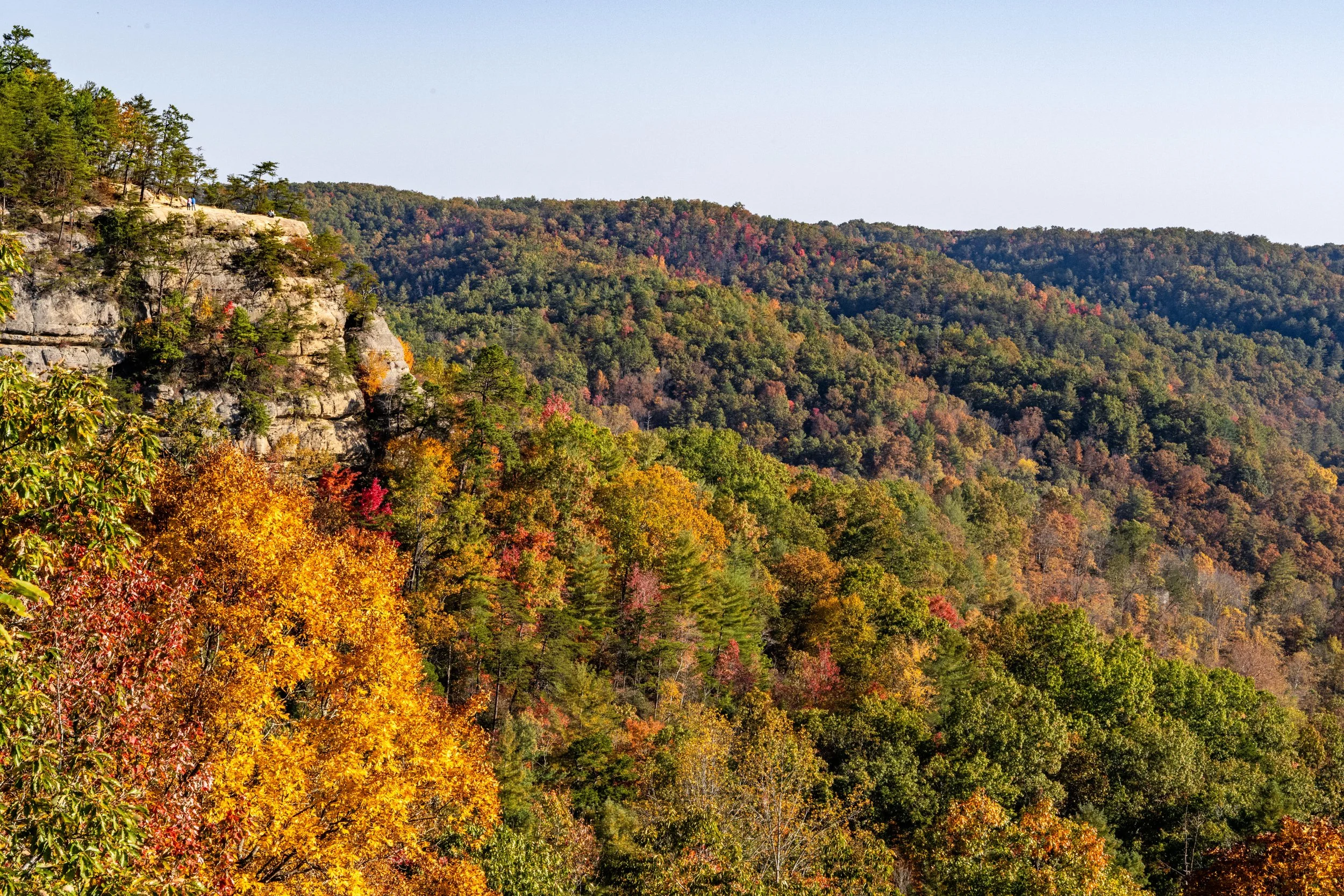 A scenic view of a mountain landscape with colorful autumn trees and a rocky cliff on the left side.