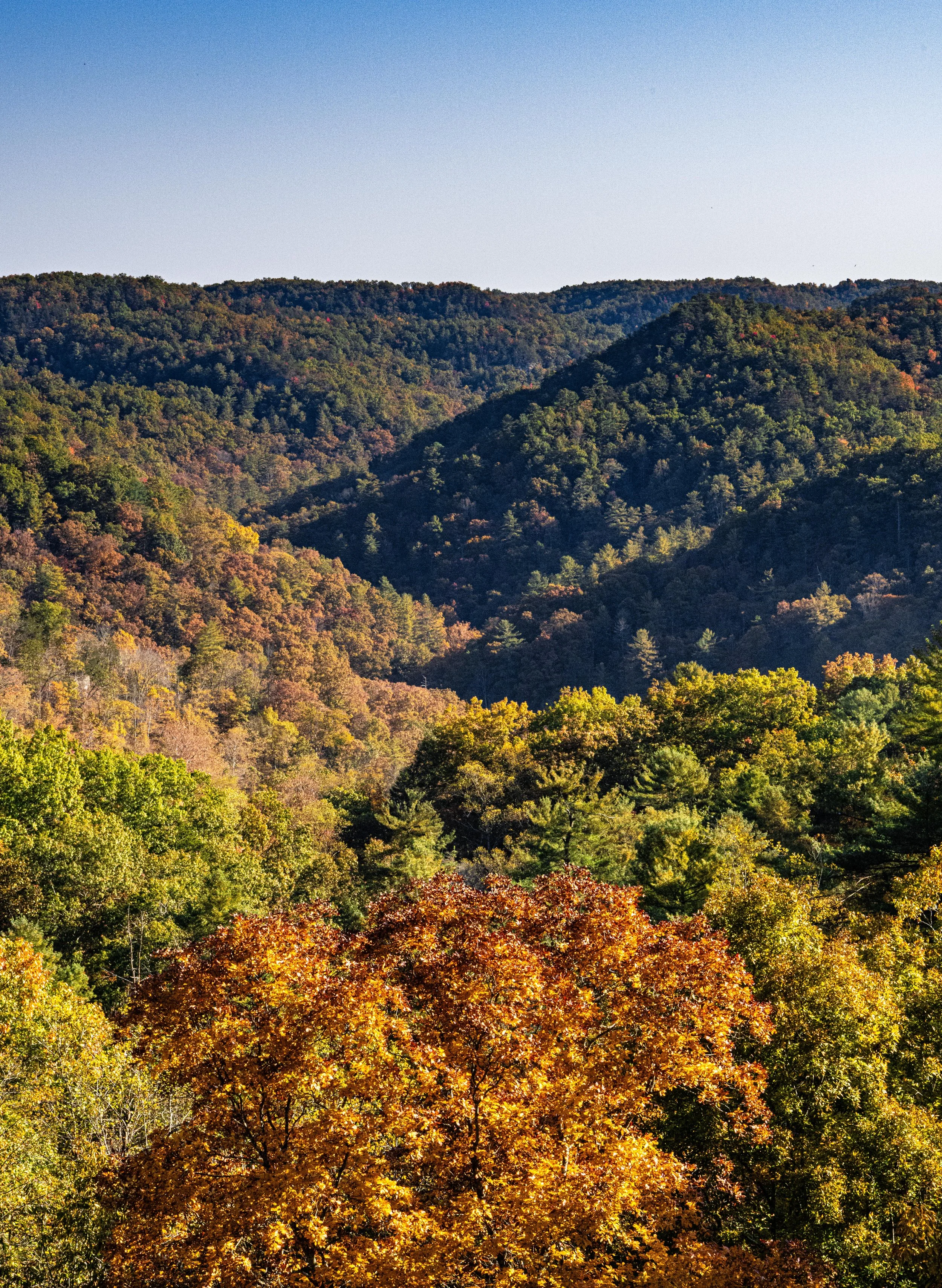 A scenic view of a mountain landscape covered with dense autumn foliage, with trees displaying fall colors of green, orange, and red, and a clear blue sky overhead.