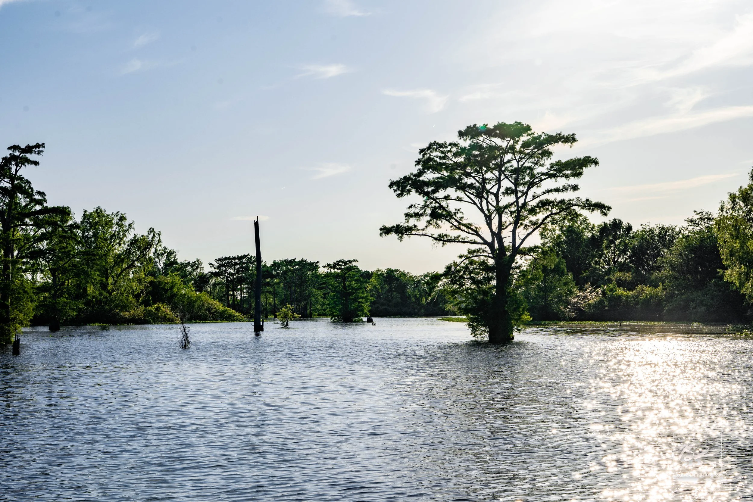A river scene with trees and a partly cloudy sky, sunlight reflecting off the water.
