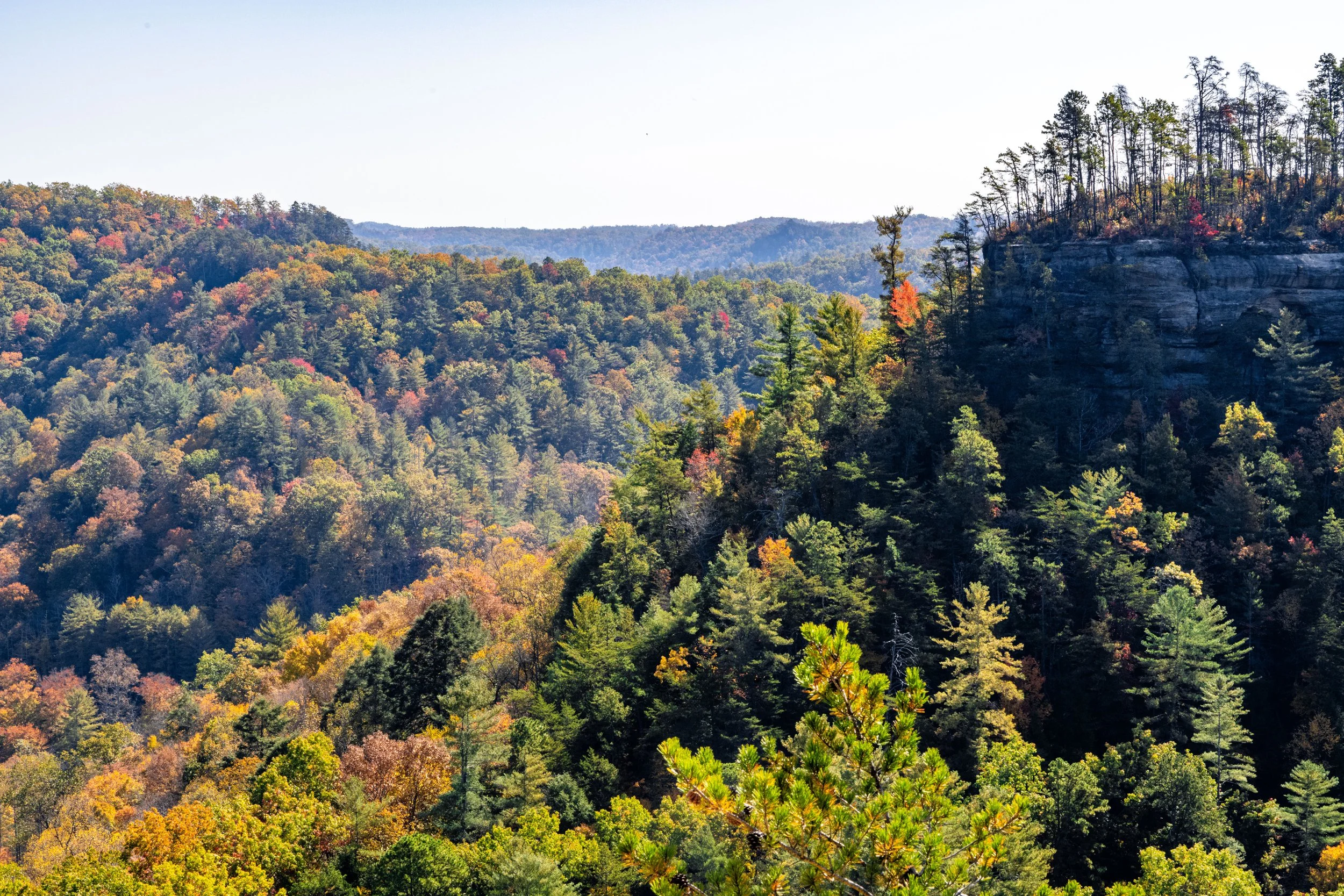 Scenic view of a forested mountain landscape with colorful autumn foliage and a prominent rocky cliff on the right side.