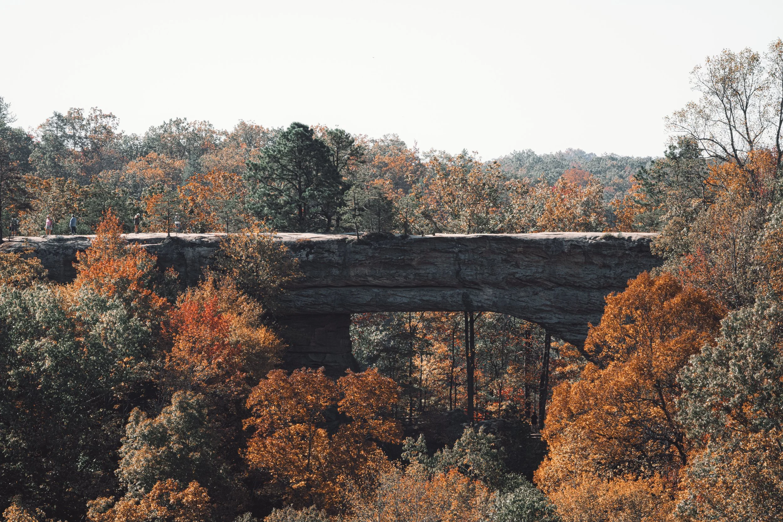 A large rock formation with trees in autumn colors beneath, with a clear sky above and a few people walking along the top of the rock formation.
