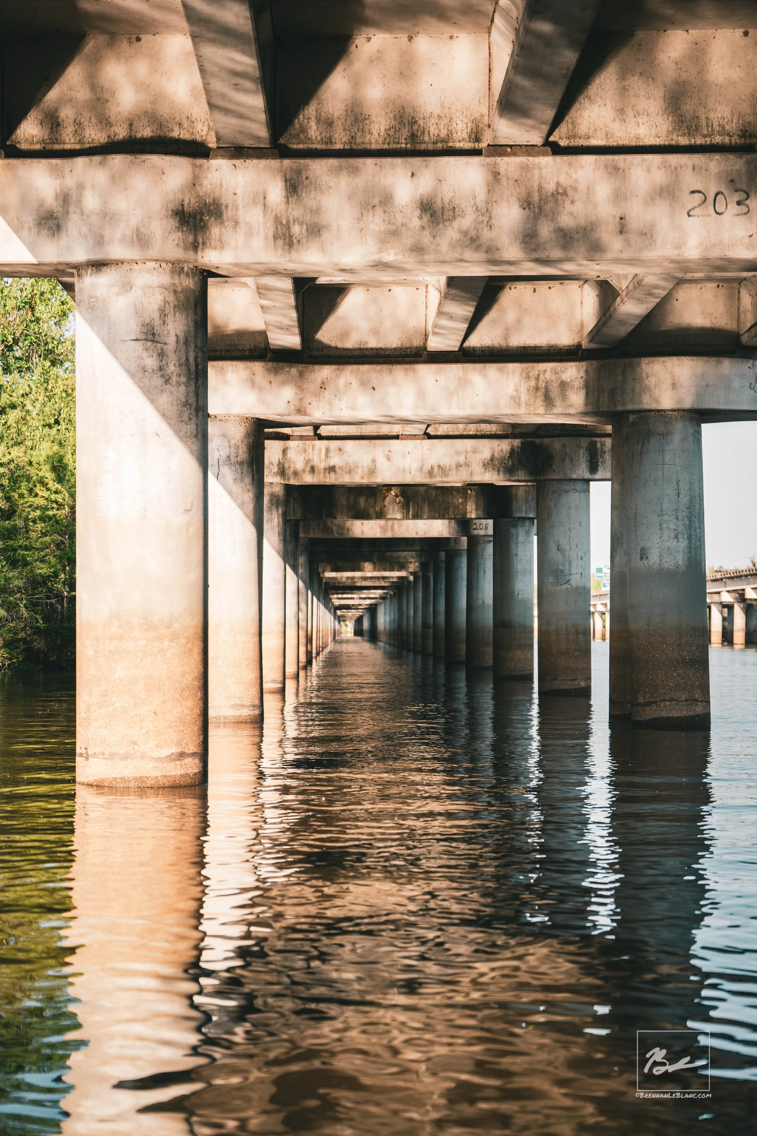 Photo looking underneath a large bridge with concrete supports extending into the water, with reflections on the water surface. Green trees are visible to the left side.