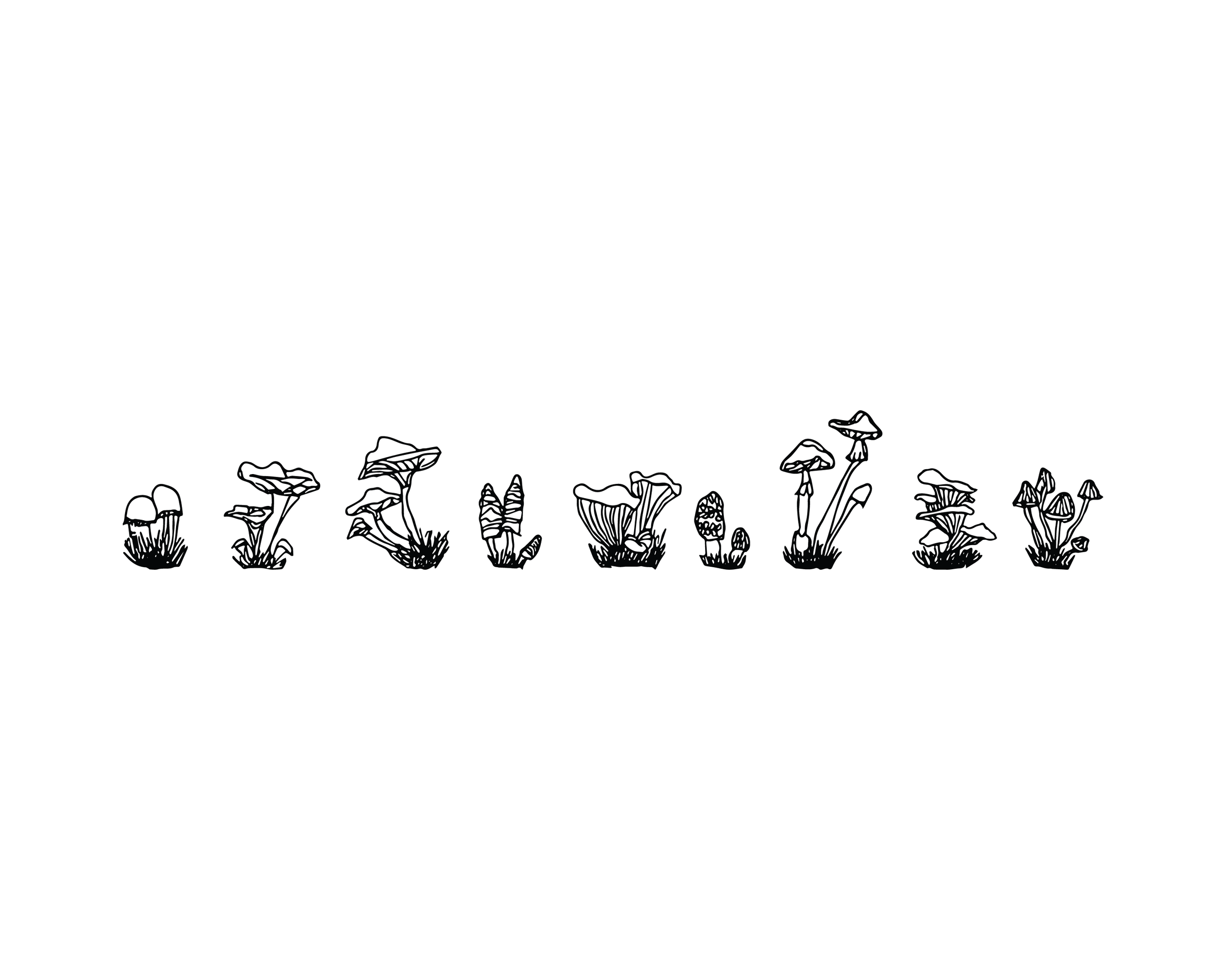 Mushroom Magic-01.png