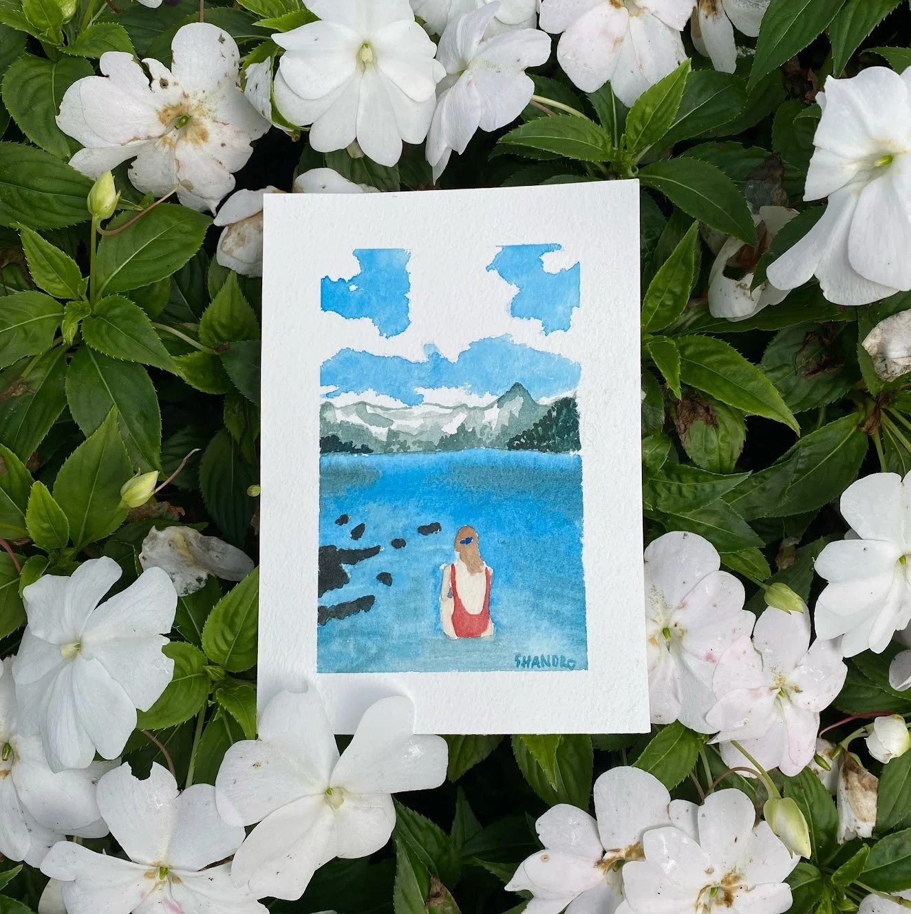 summertime stillness.jpeg