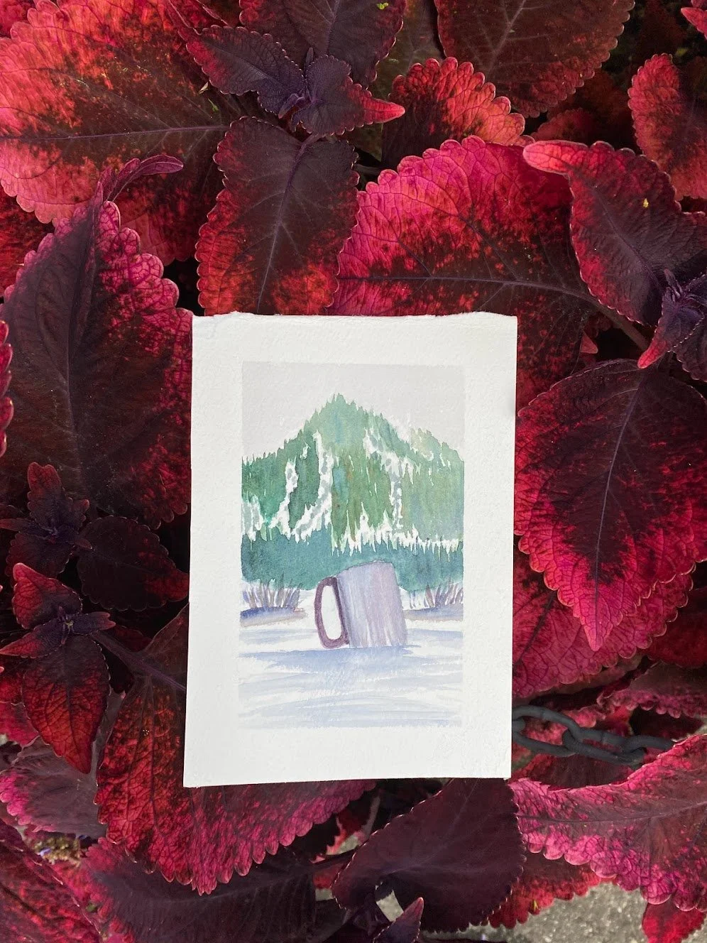 cold days warm gesture.jpeg