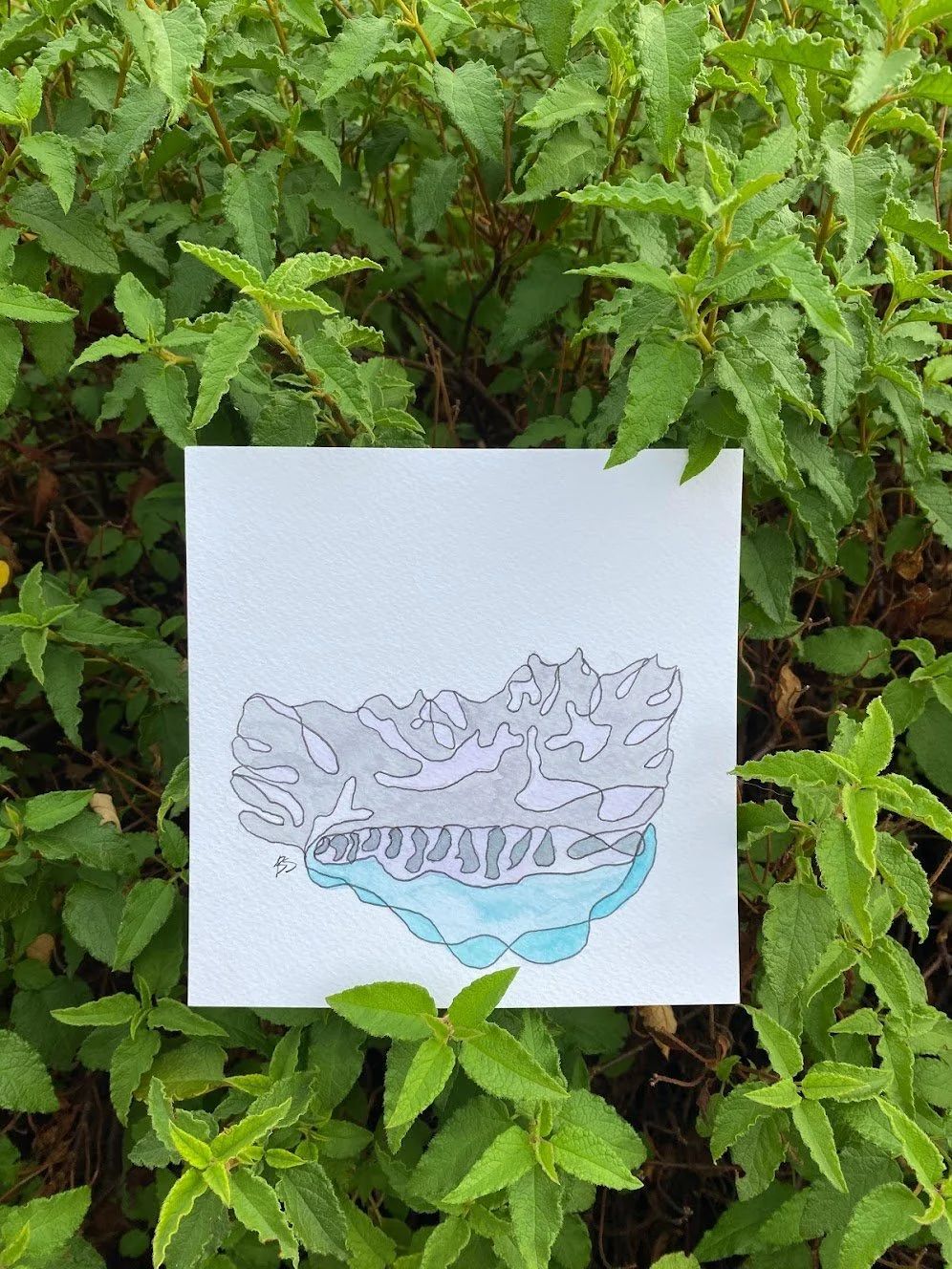 cold mountains, warm hearts.jpeg