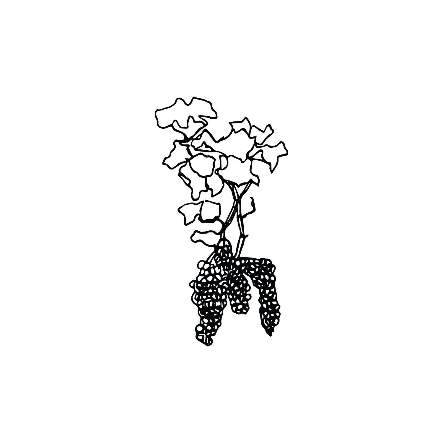 Custom Prints-01.png